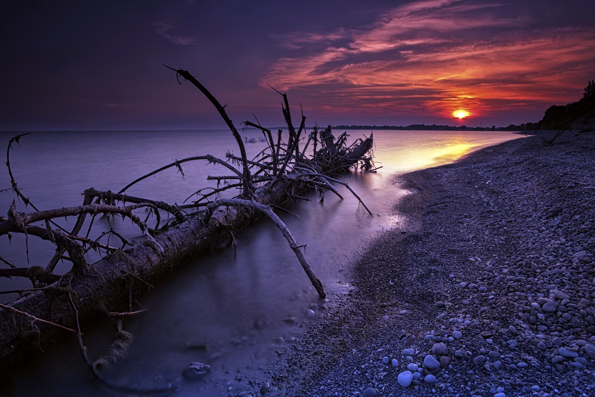 Fallen tree on a rocky shore at sunset HD Wallpaper