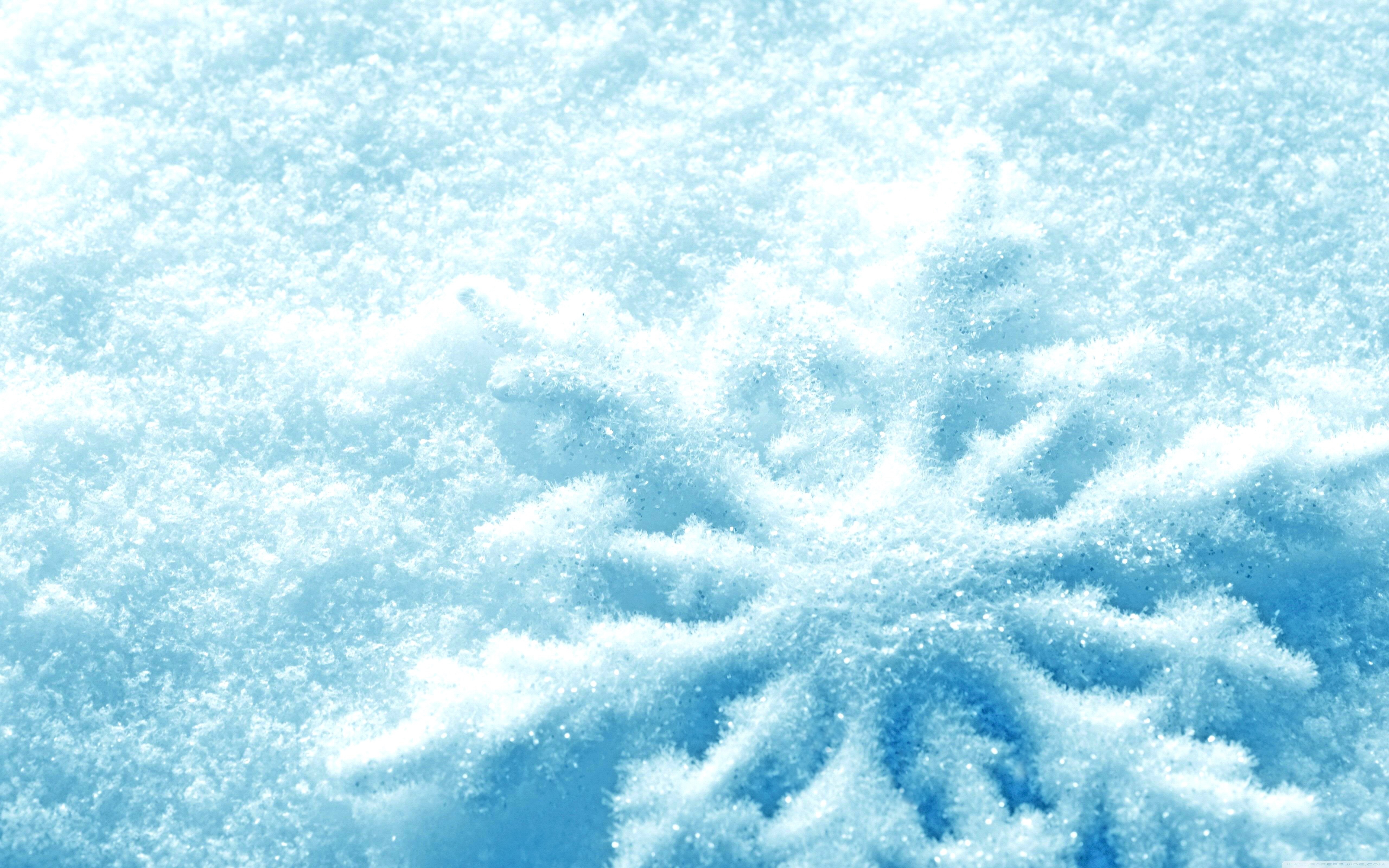 Close-up of a snowflake on snow HD Wallpaper