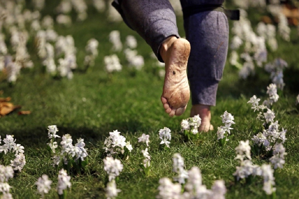 Barefoot person walking through white flowers on grass HD Wallpaper