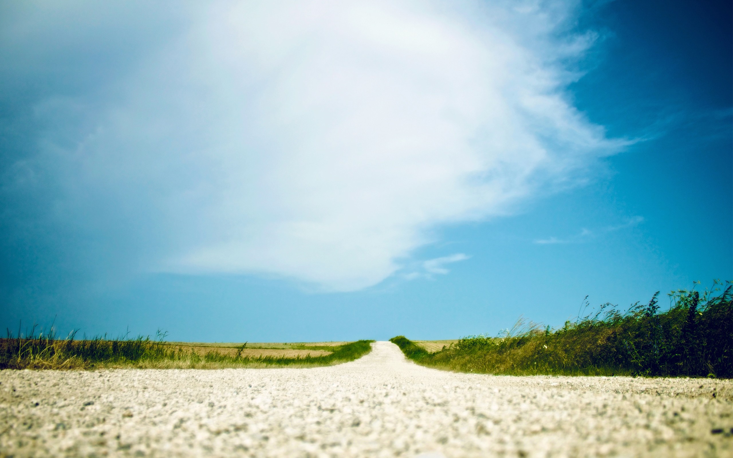 A dirt road leads through a grassy field under a cloudy sky HD Wallpaper