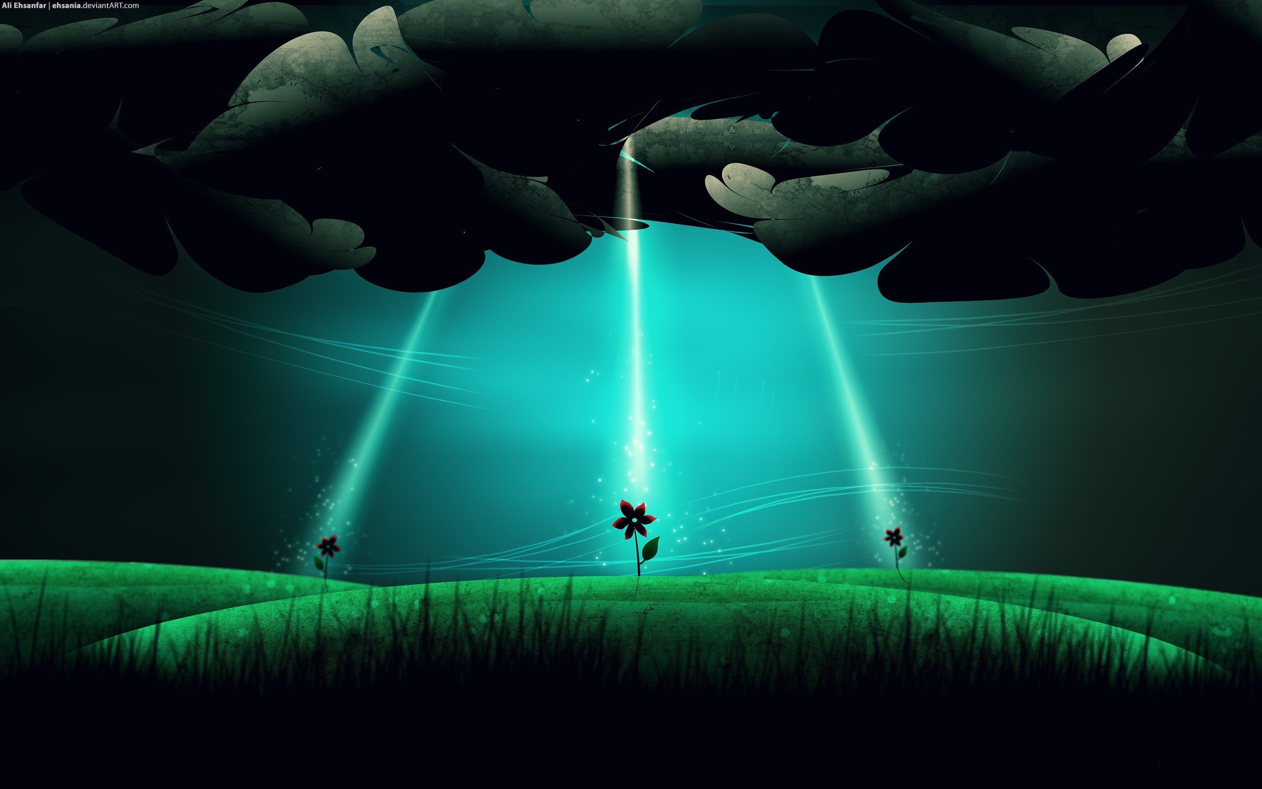Illustration of flowers under beams of light HD Wallpaper
