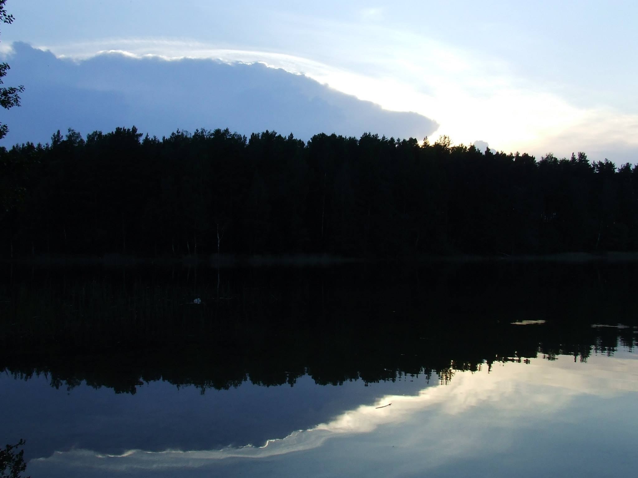Dark forest reflected in a calm lake at dusk HD Wallpaper