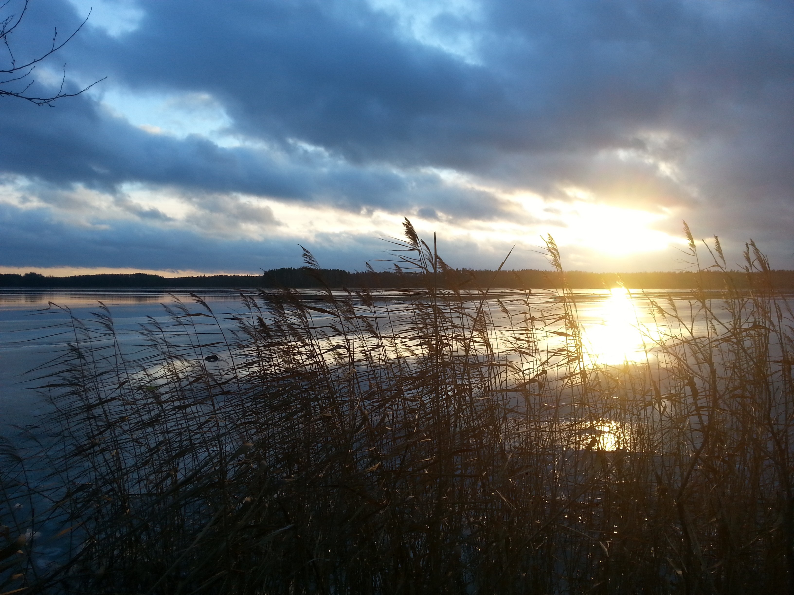 Sunset over a frozen lake with reeds in the foreground HD Wallpaper