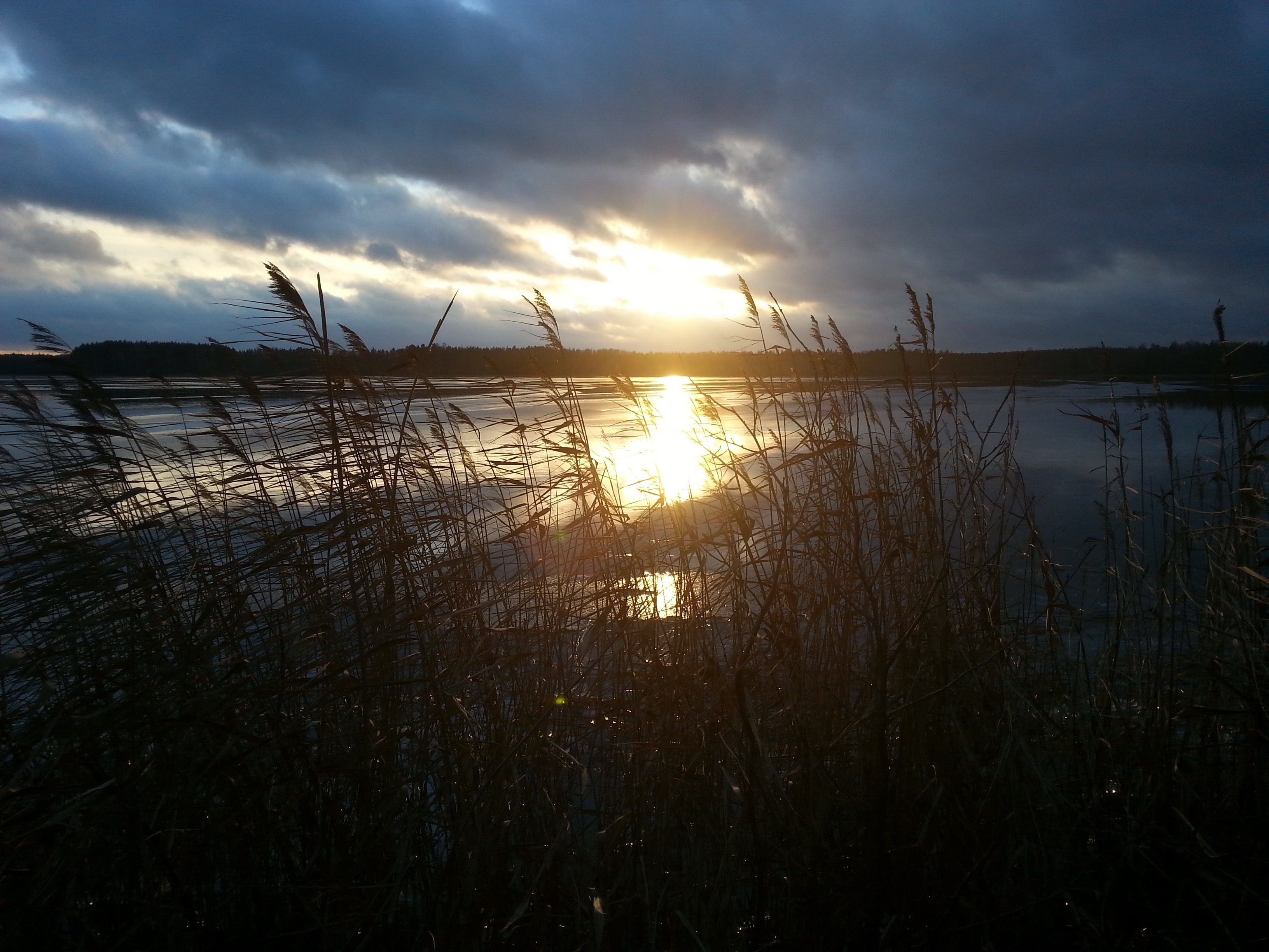 Sunset over a lake with reeds in the foreground HD Wallpaper