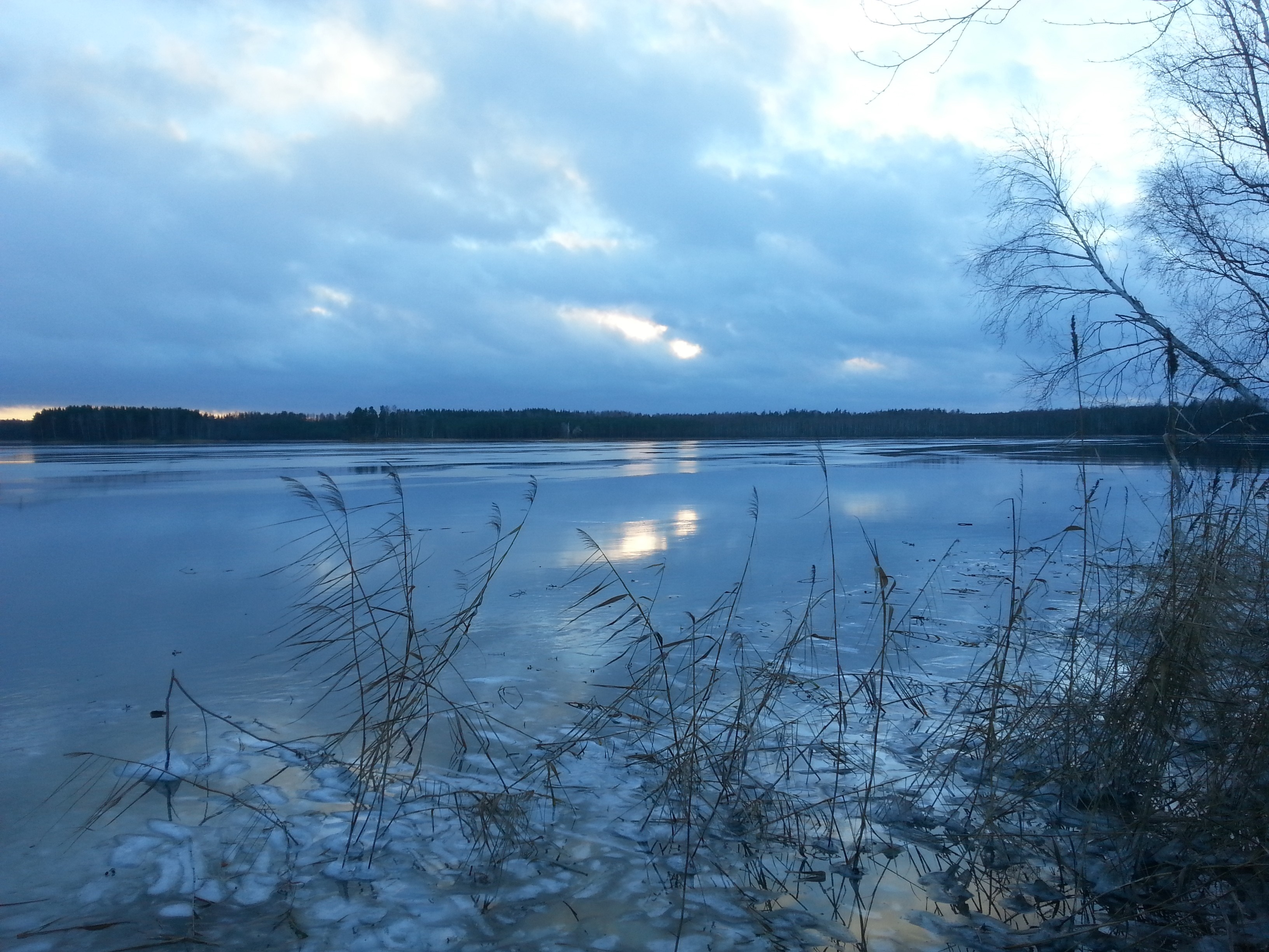 Frozen lake with reeds and cloudy sky at dusk HD Wallpaper
