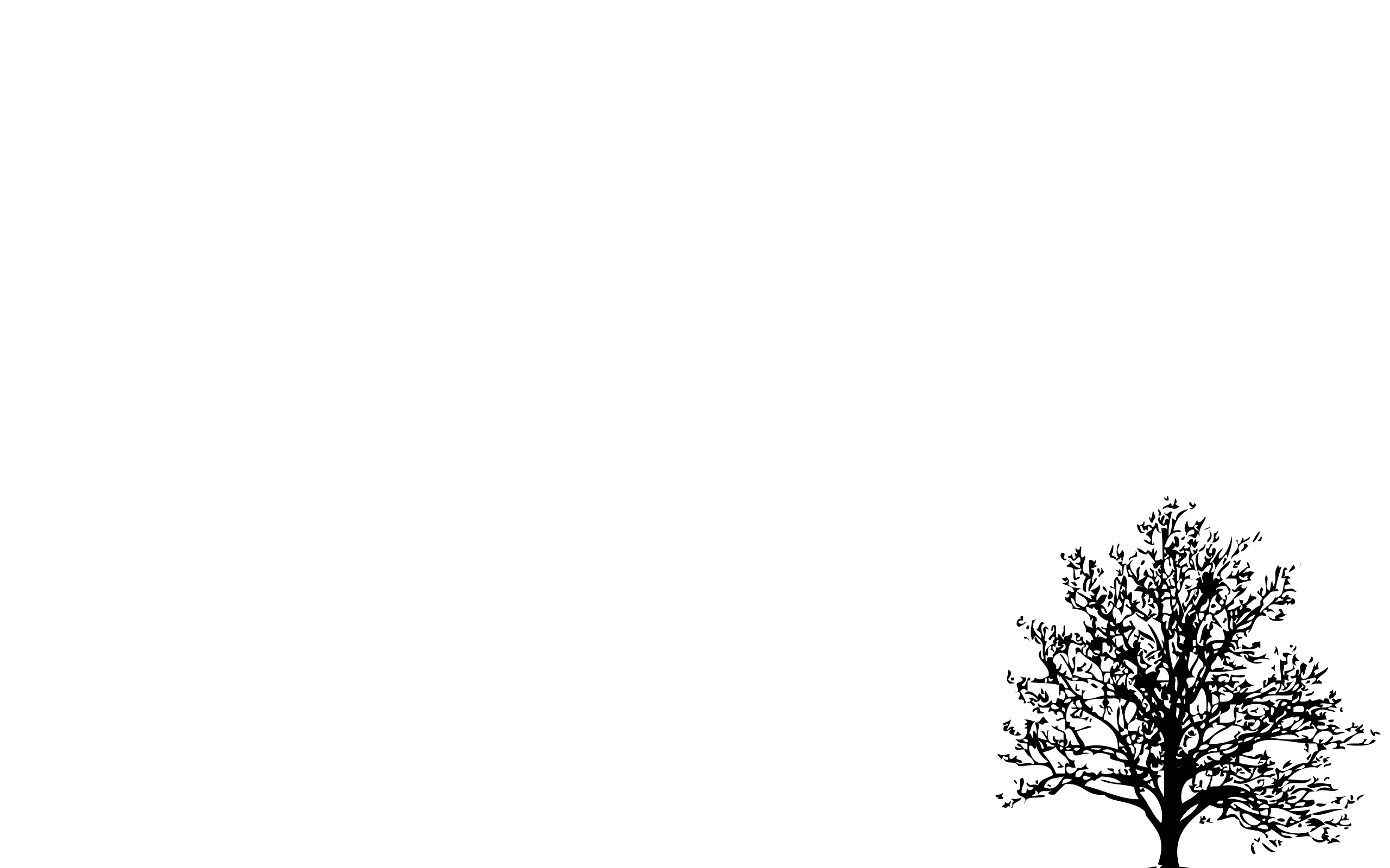 Silhouette of a bare tree with nests HD Wallpaper