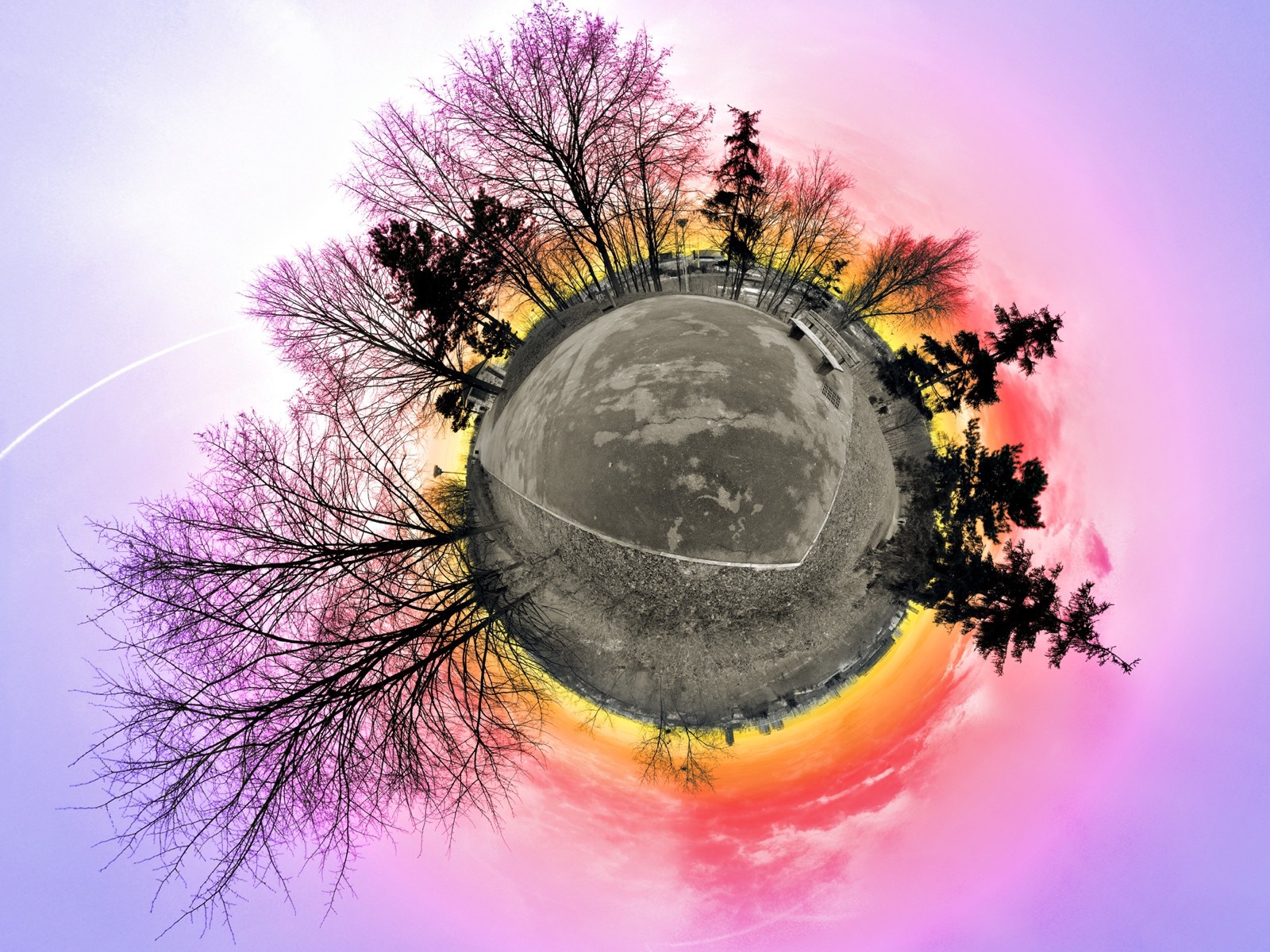 Panoramic sphere of trees and sunset sky HD Wallpaper
