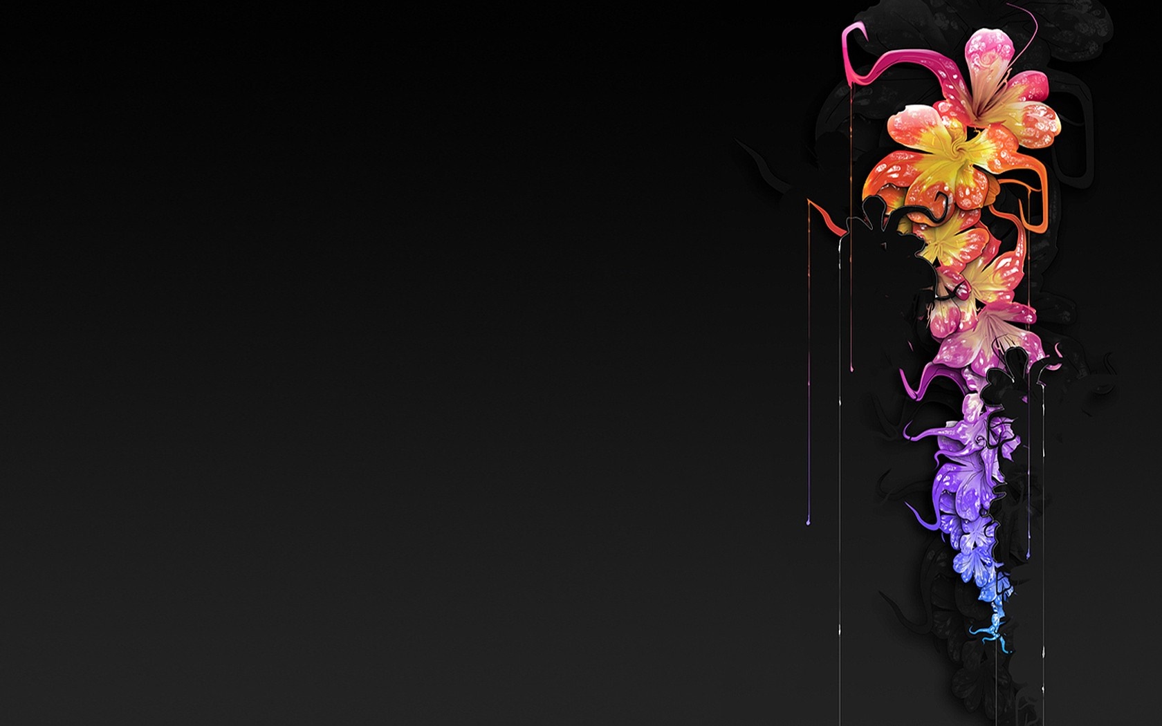 Colorful abstract flowers dripping on black background HD Wallpaper