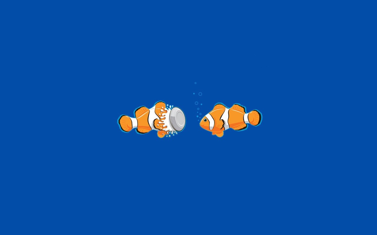 Two clownfish in blue water HD Wallpaper