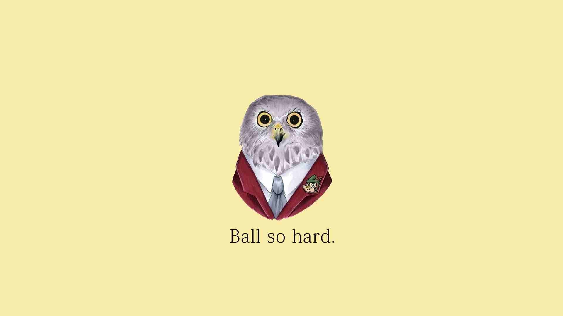 Illustration of an owl wearing a suit with text HD Wallpaper