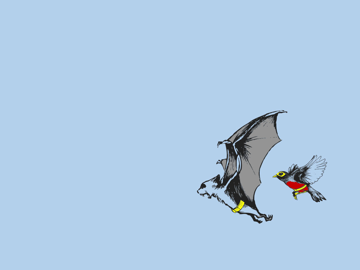 Batman and Robin bird illustration HD Wallpaper