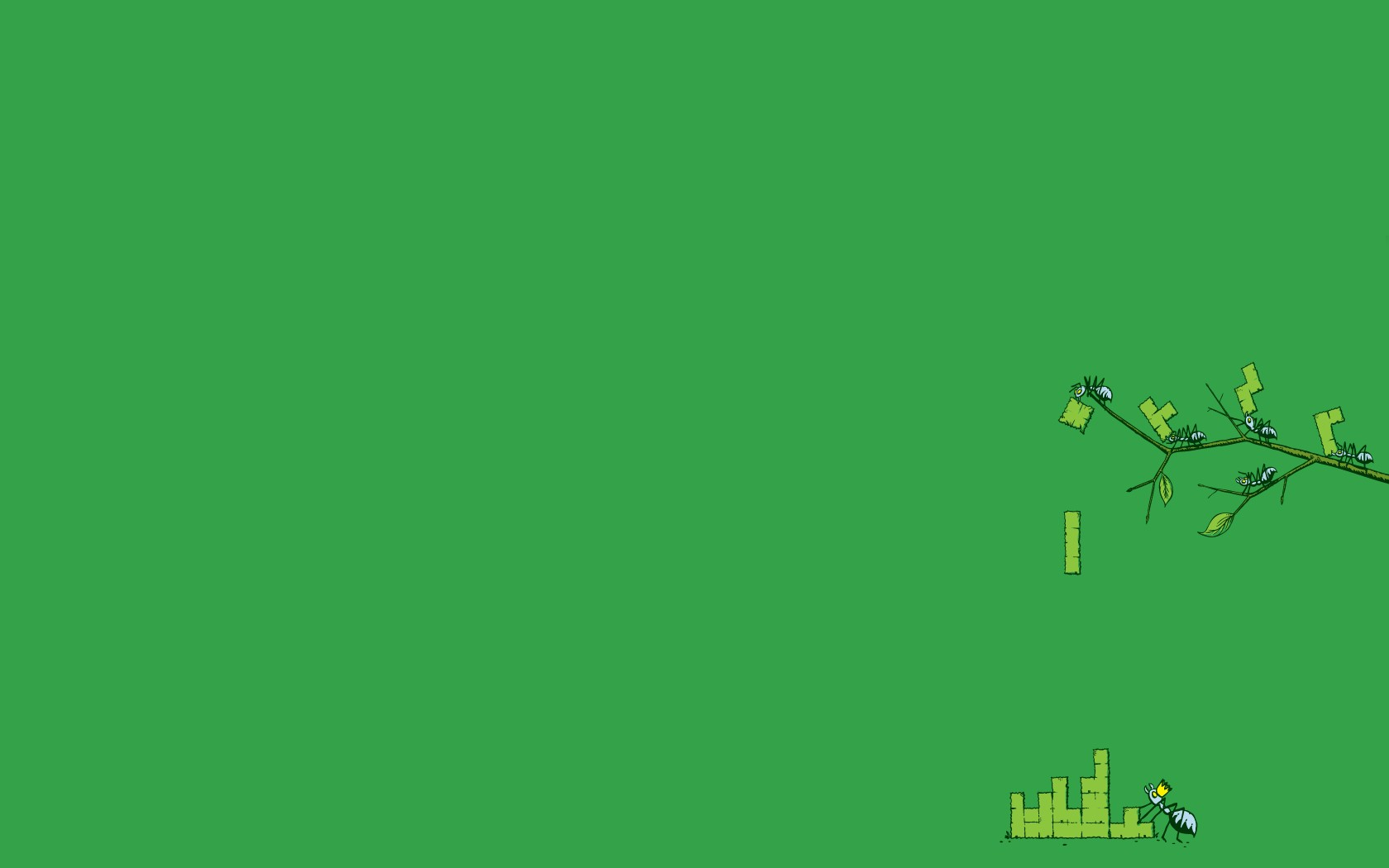 Ants playing Tetris on a branch HD Wallpaper