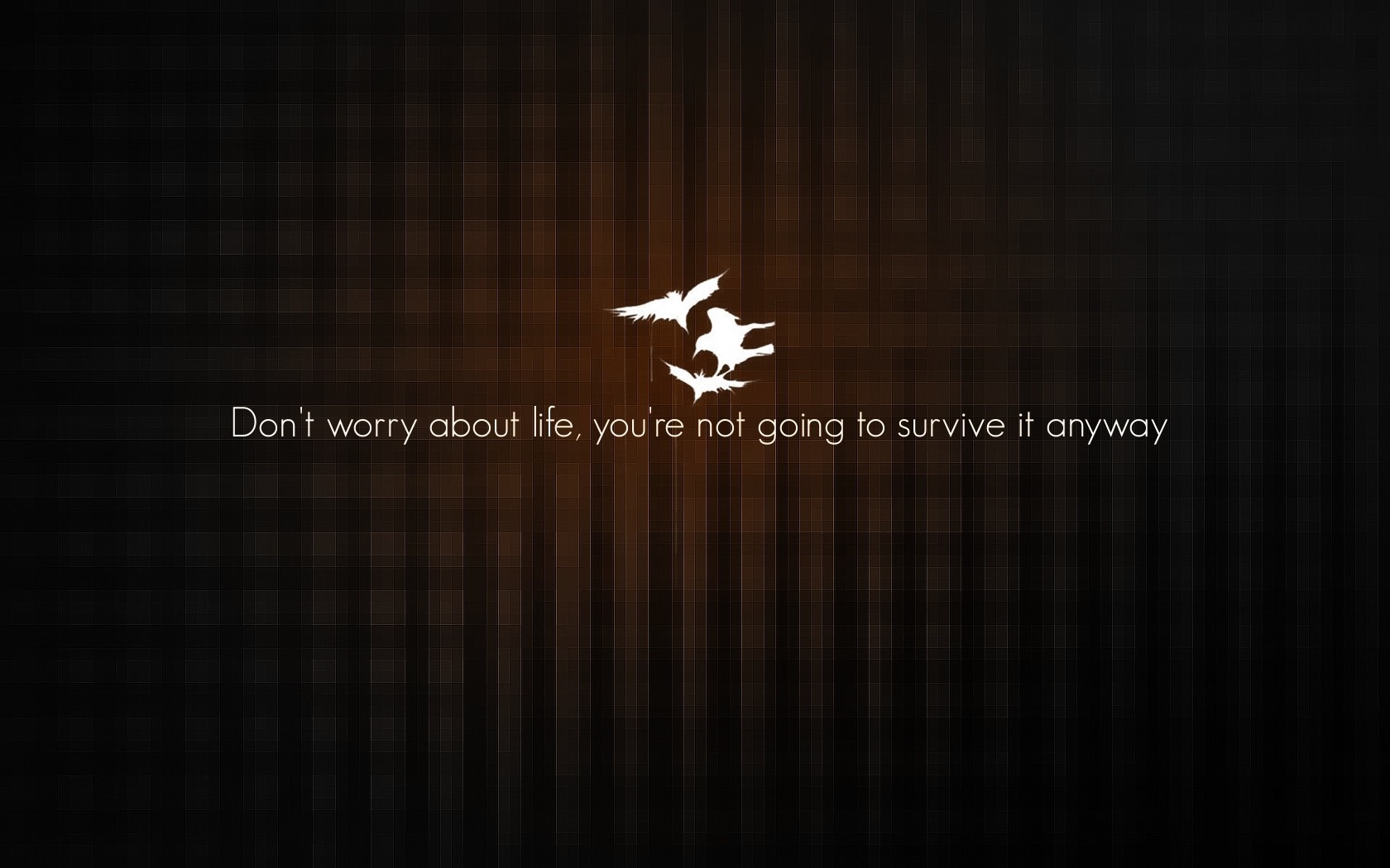 Quote about life and survival with bird silhouettes HD Wallpaper