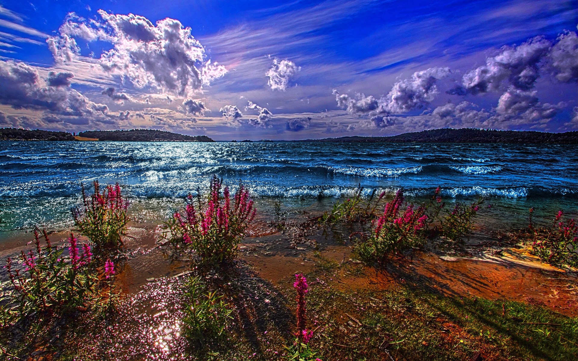 Waves crash on a shore with pink flowers under a dramatic sky HD Wallpaper