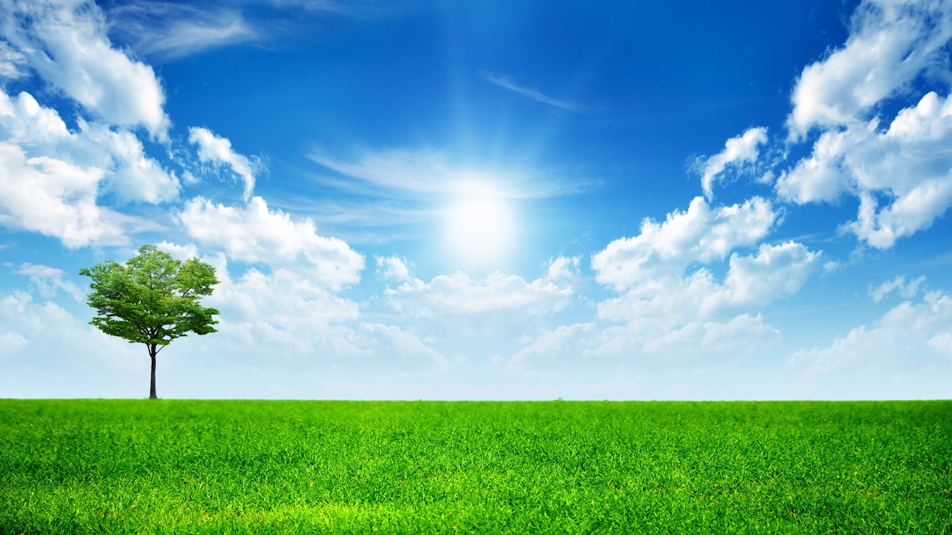 Green field under a bright sun and blue sky with clouds HD Wallpaper