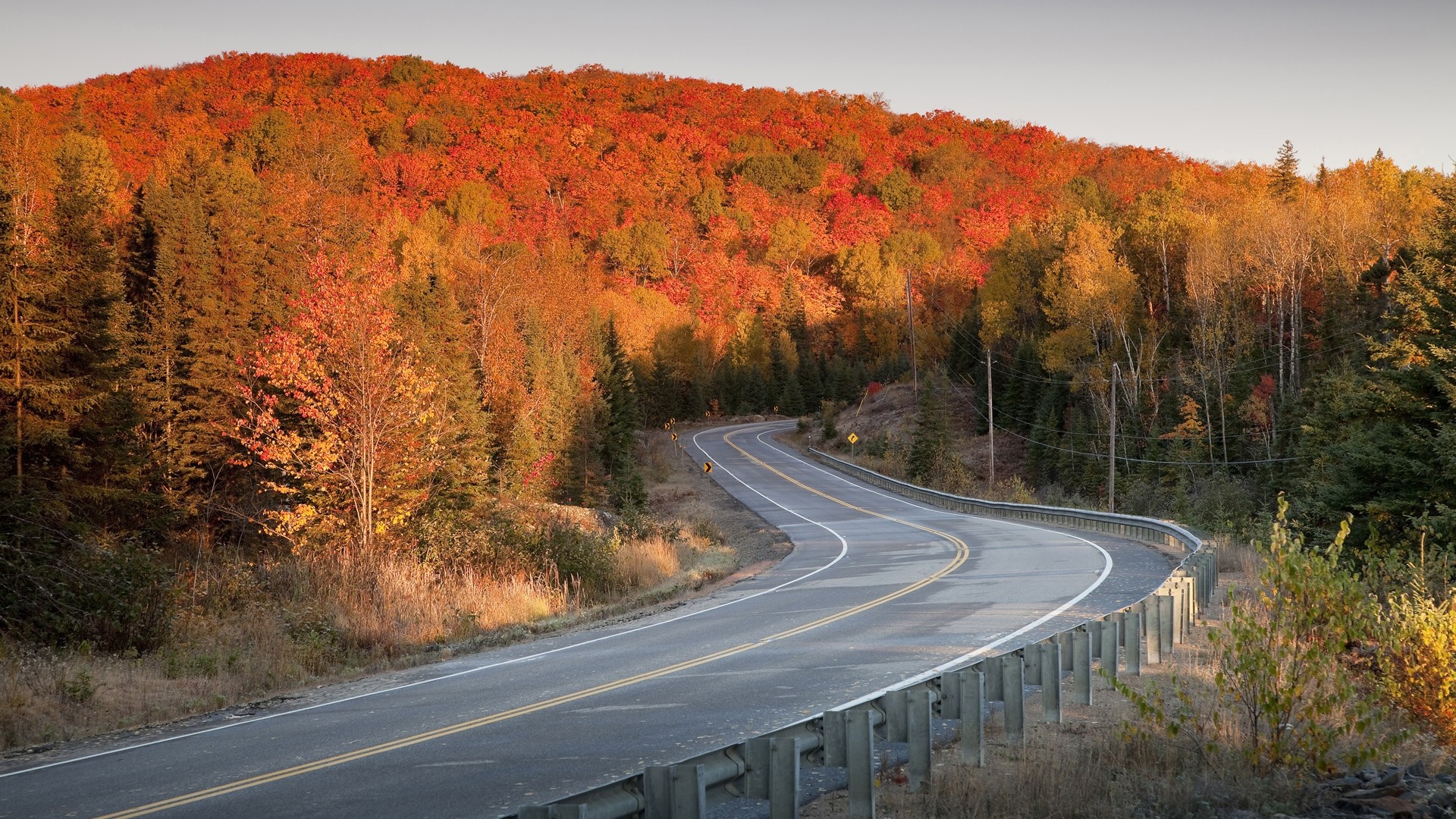 Winding road through autumn forest with colorful trees HD Wallpaper