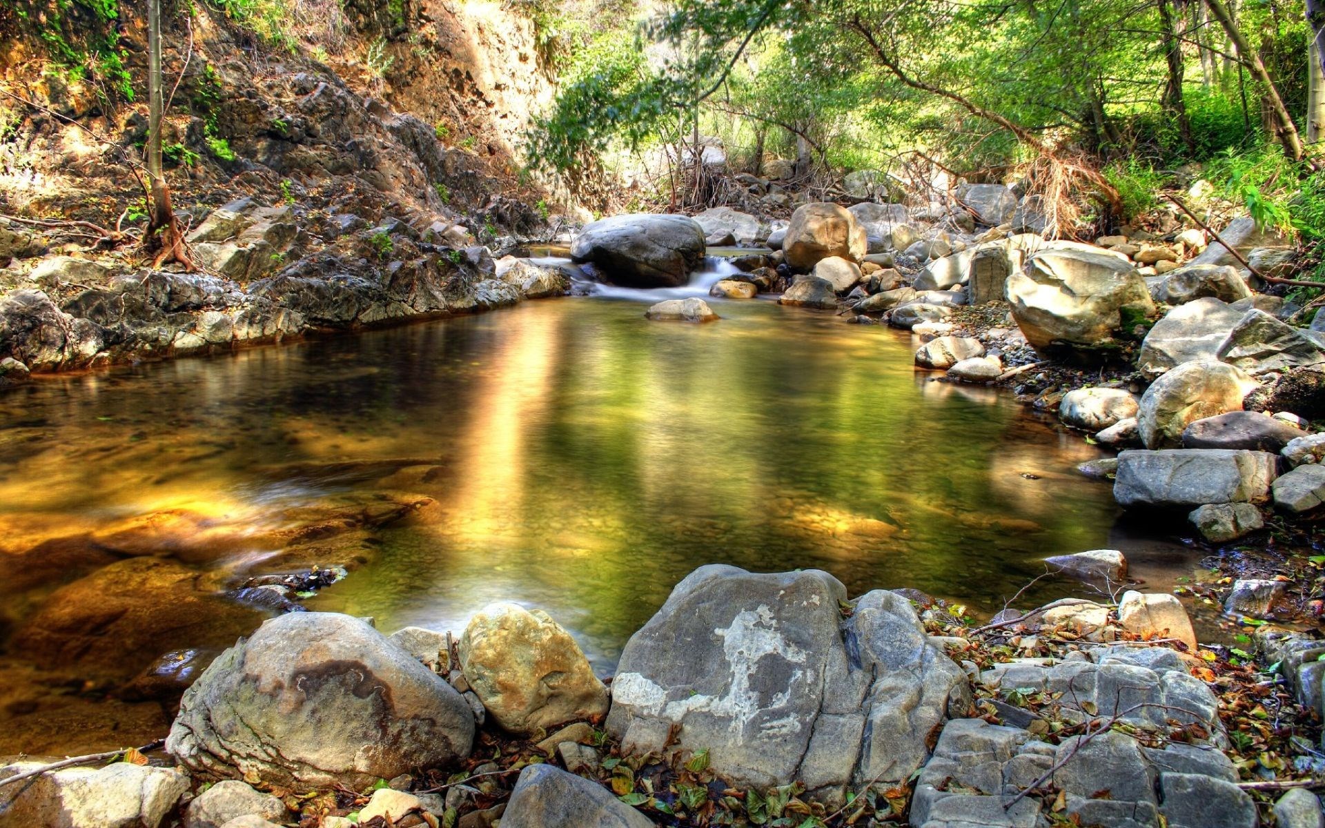 A clear stream flows through a rocky forest. HD Wallpaper