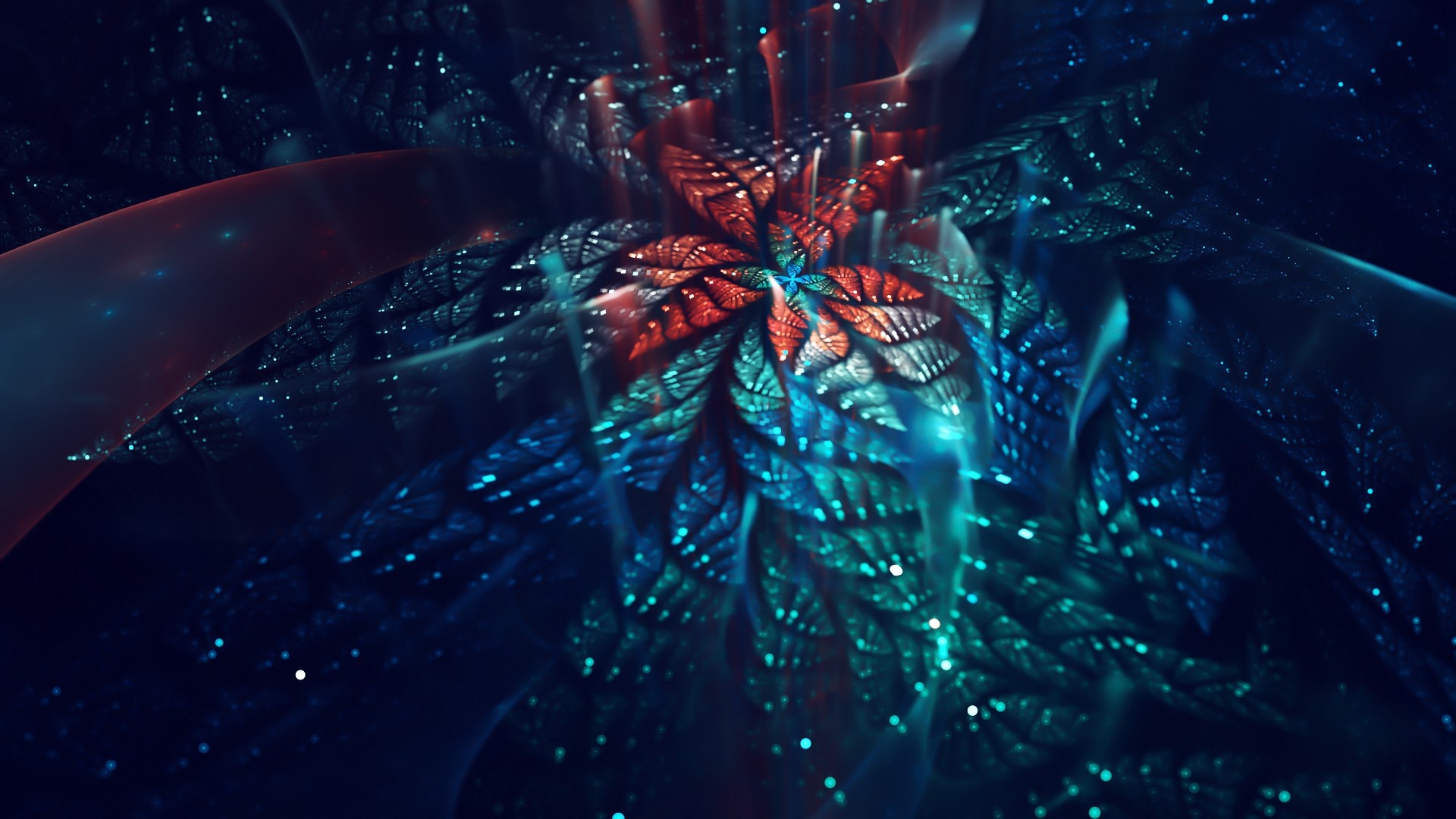 Abstract fractal flower in deep space HD Wallpaper