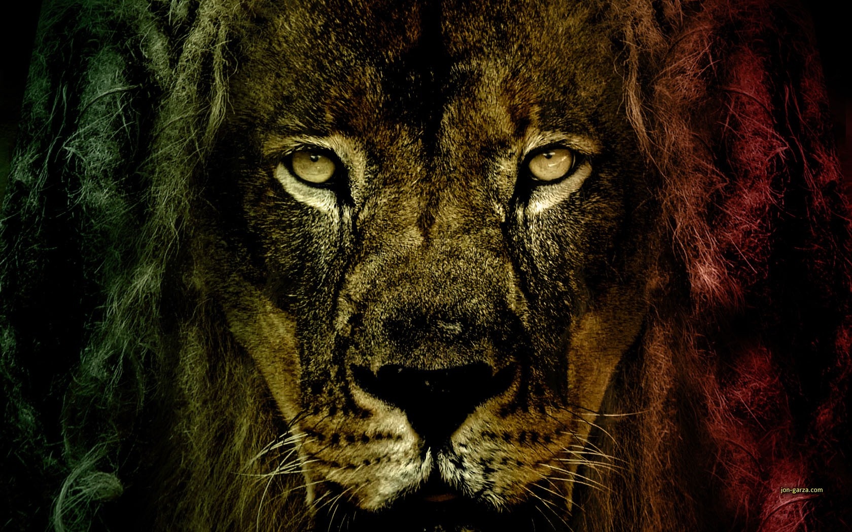 Lion with Rasta Mane HD Wallpaper