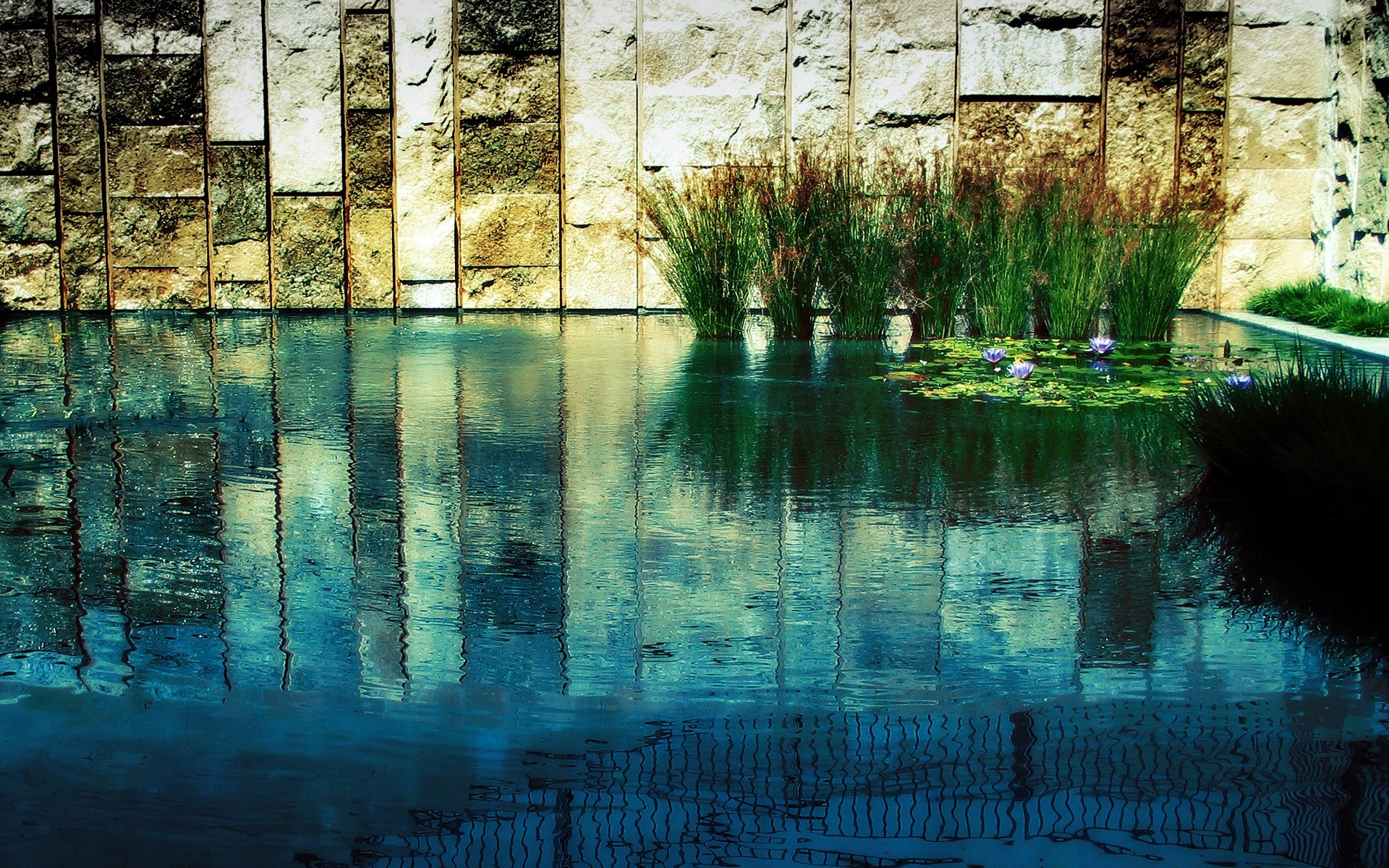 Stone wall reflection in a pond with water lilies and reeds HD Wallpaper