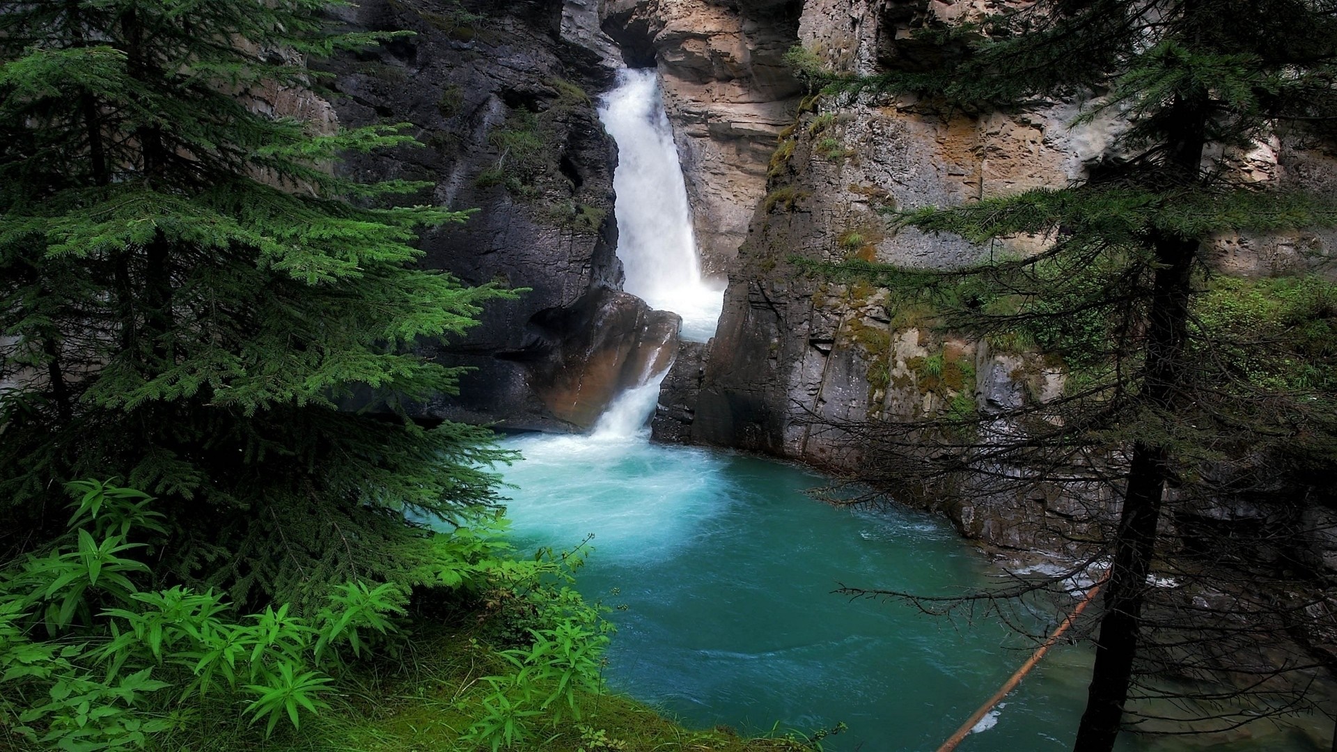 Waterfall in a rocky ravine surrounded by trees HD Wallpaper