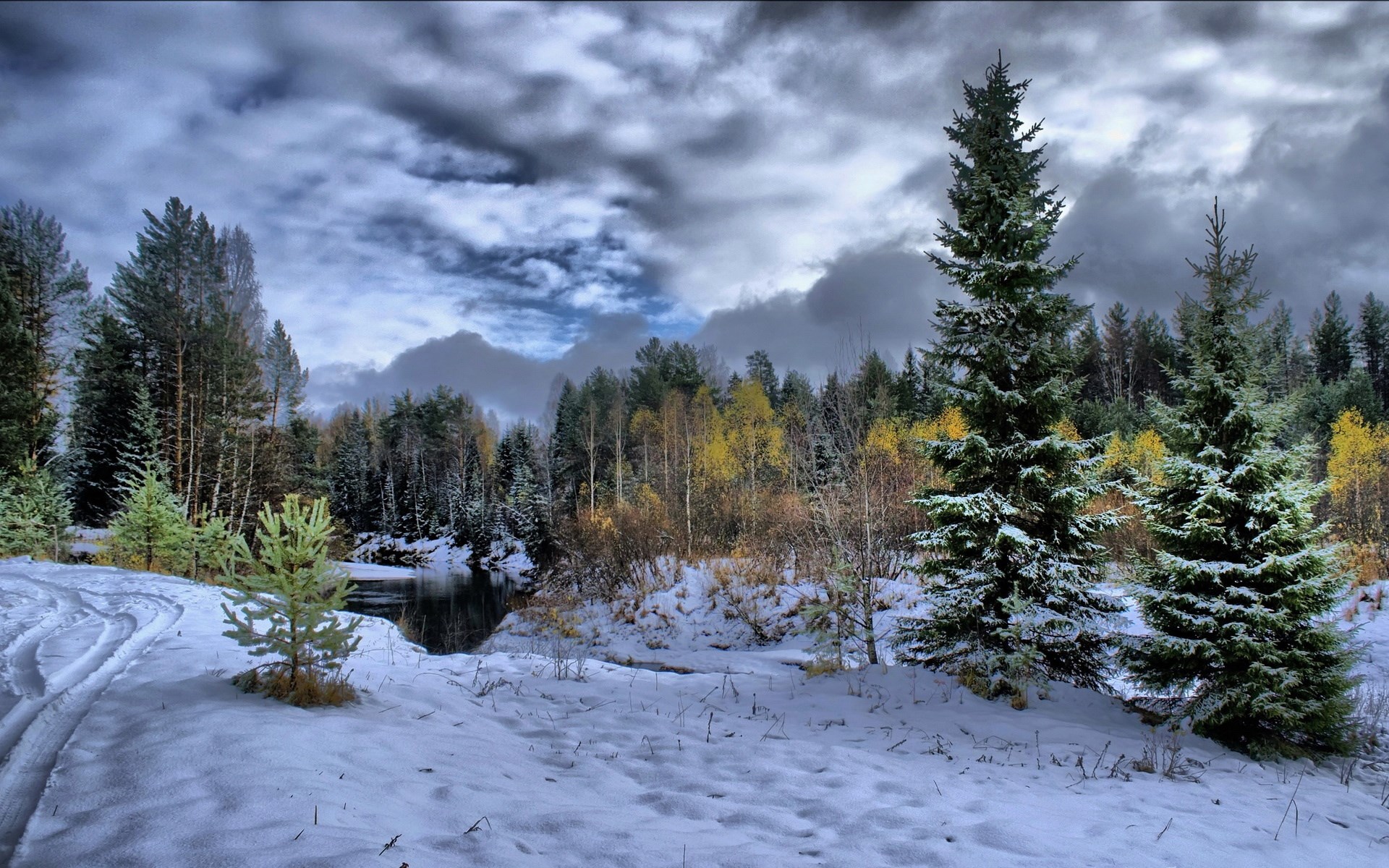Snowy forest with a river and dark clouds HD Wallpaper