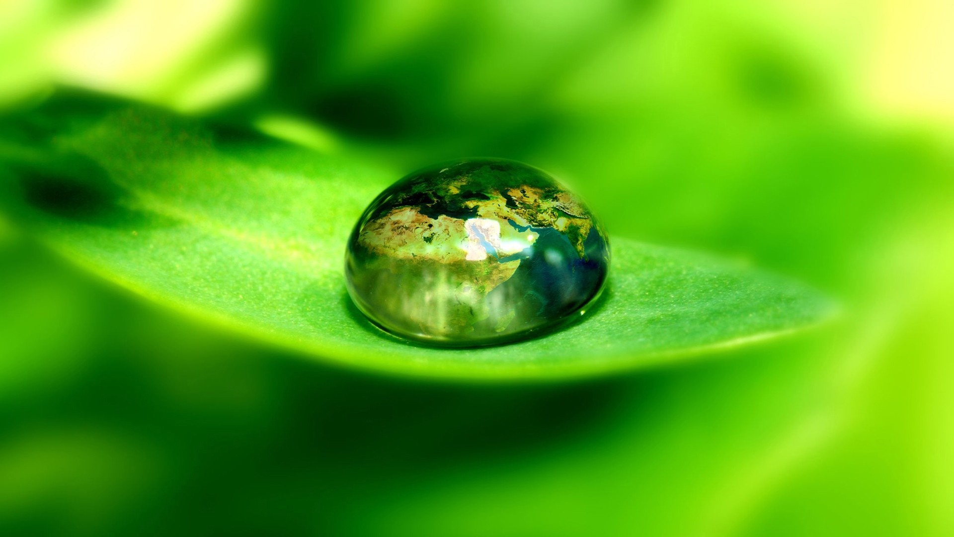 Water drop with Earth reflection on a green leaf HD Wallpaper