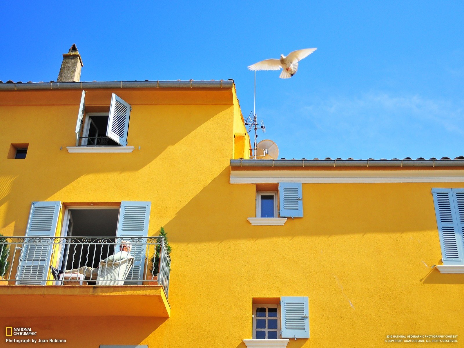 Yellow house with a dove flying in the sky HD Wallpaper