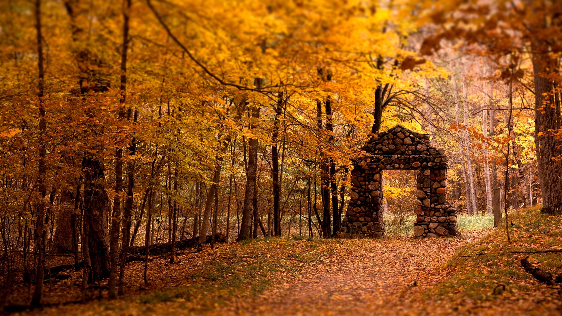 Stone archway in an autumn forest with fallen leaves HD Wallpaper