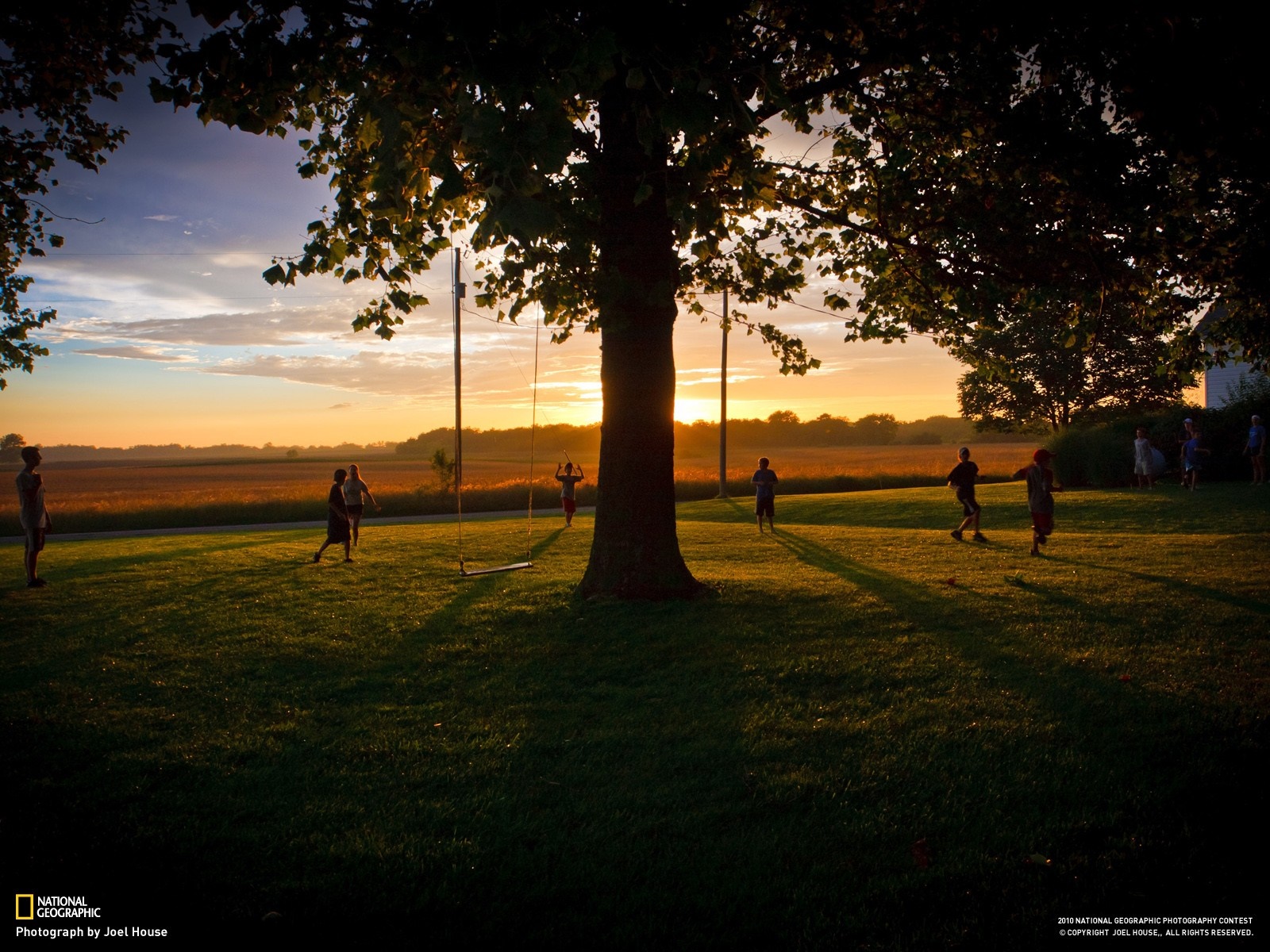 Children playing in a field at sunset HD Wallpaper