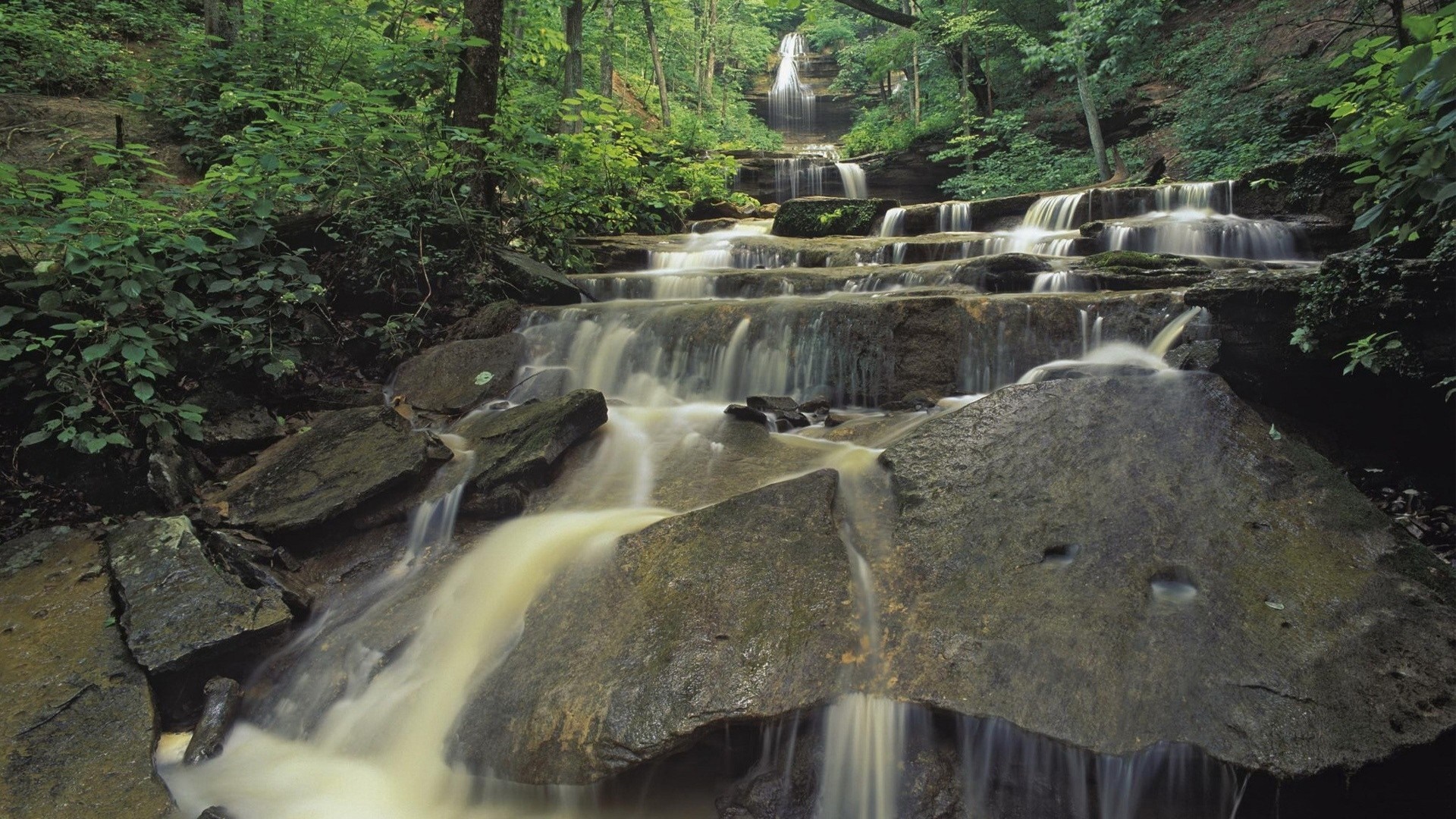 A cascading waterfall flows over mossy rocks in a dense forest. HD Wallpaper