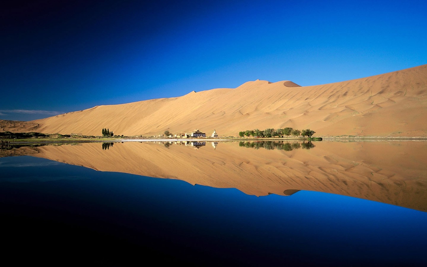 Desert oasis with crescent lake and sand dunes reflection HD Wallpaper