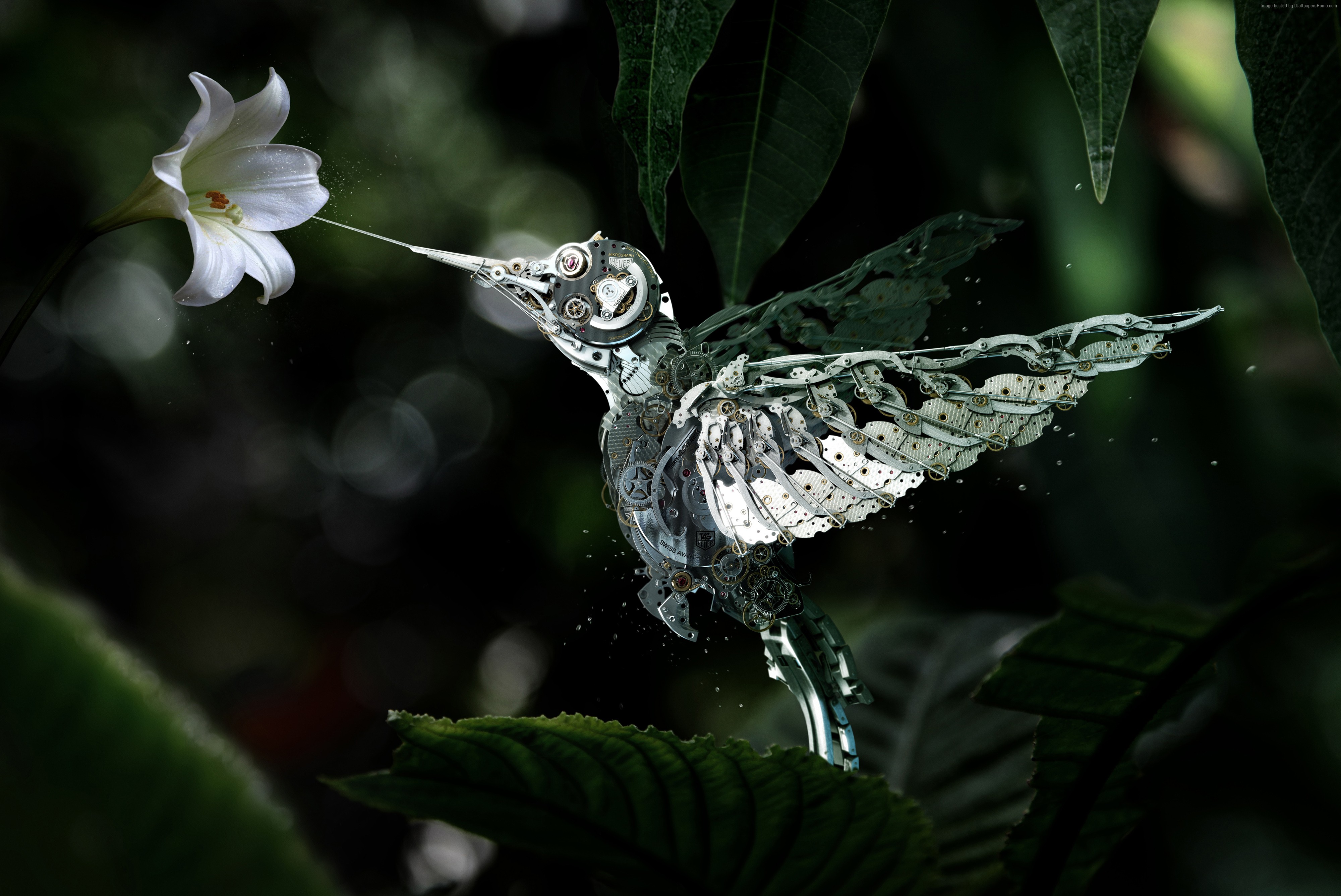 Steampunk hummingbird drinking nectar from a white flower HD Wallpaper