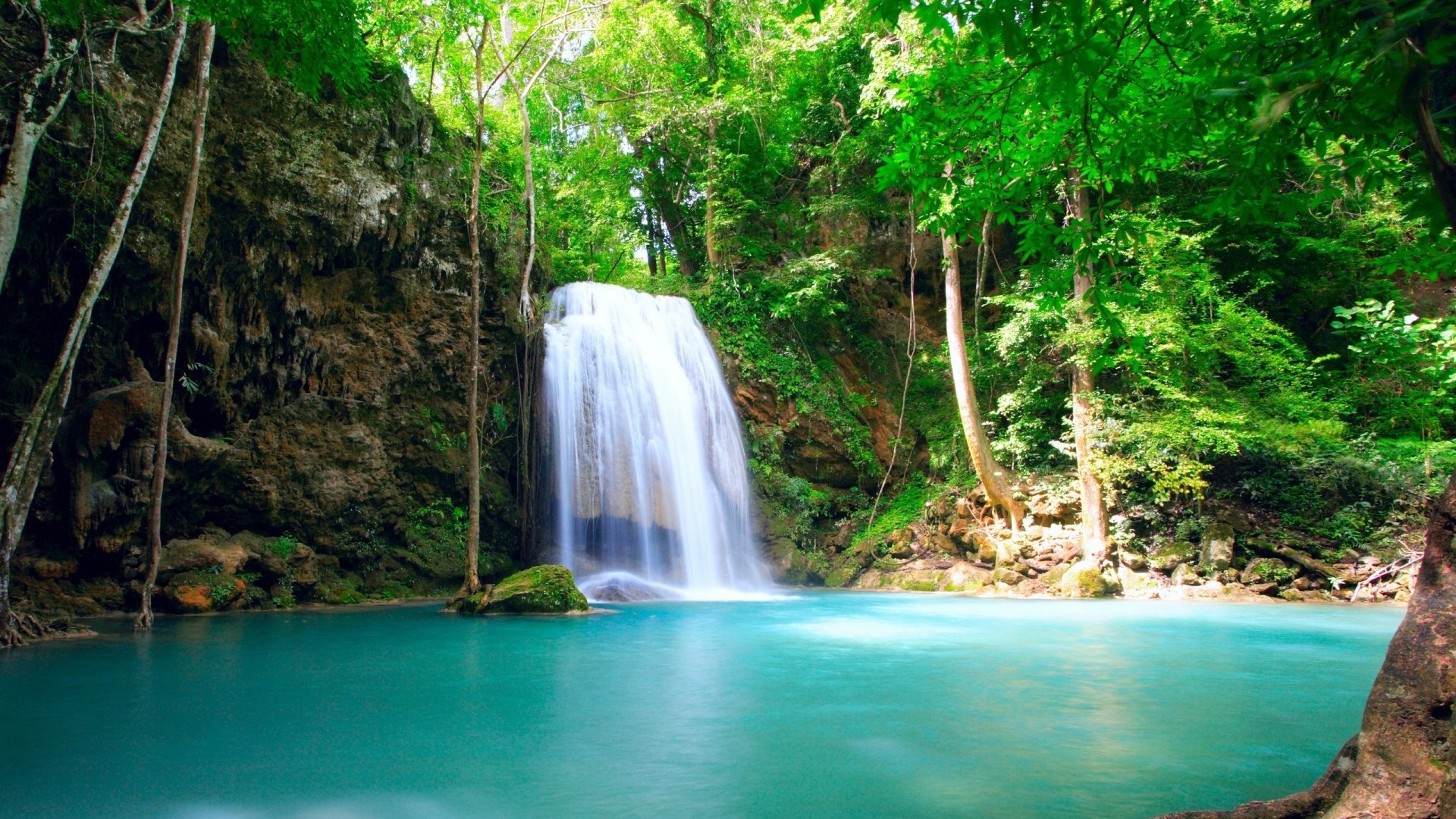 Waterfall in a lush green forest with turquoise water HD Wallpaper
