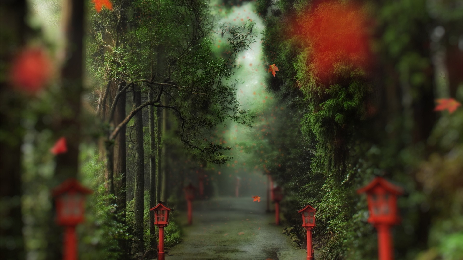 Path through a misty forest with red lanterns HD Wallpaper