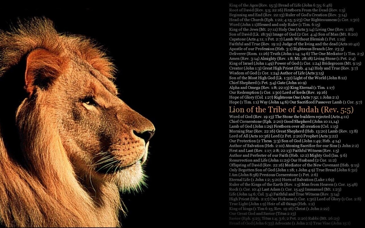 Lion of the Tribe of Judah with Bible Verses HD Wallpaper