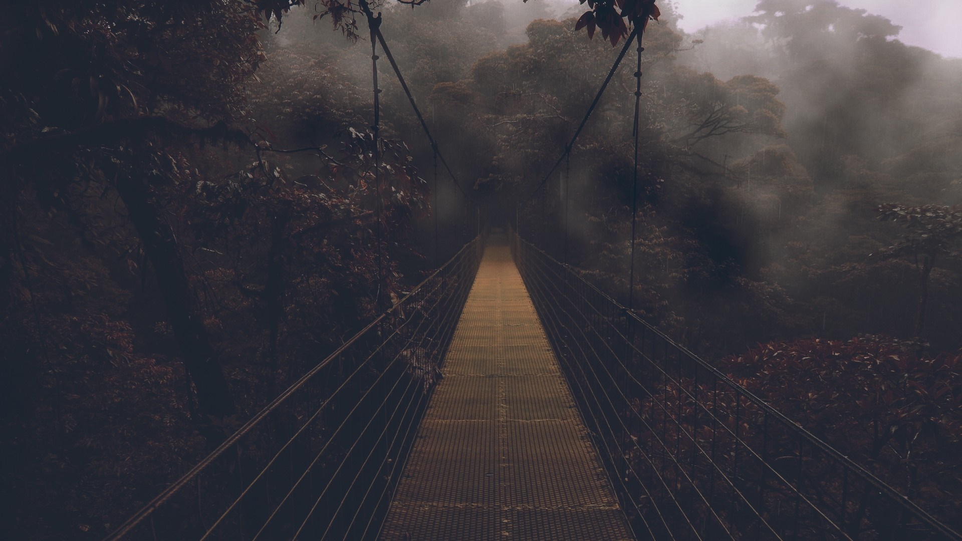 Suspension bridge in a misty forest HD Wallpaper