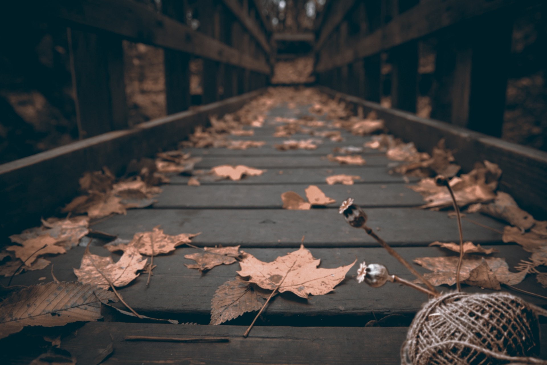 Autumn bridge with fallen leaves and twine HD Wallpaper