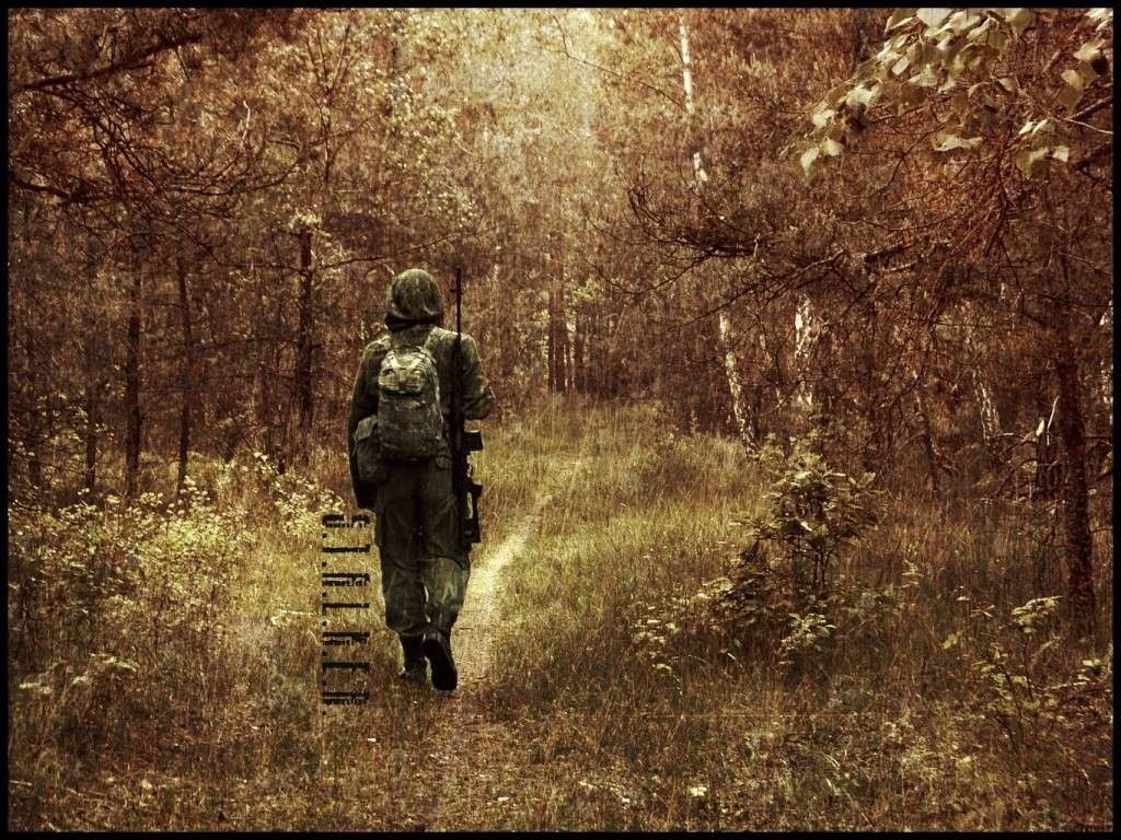 S.T.A.L.K.E.R. screenshot of a person walking in a forest HD Wallpaper