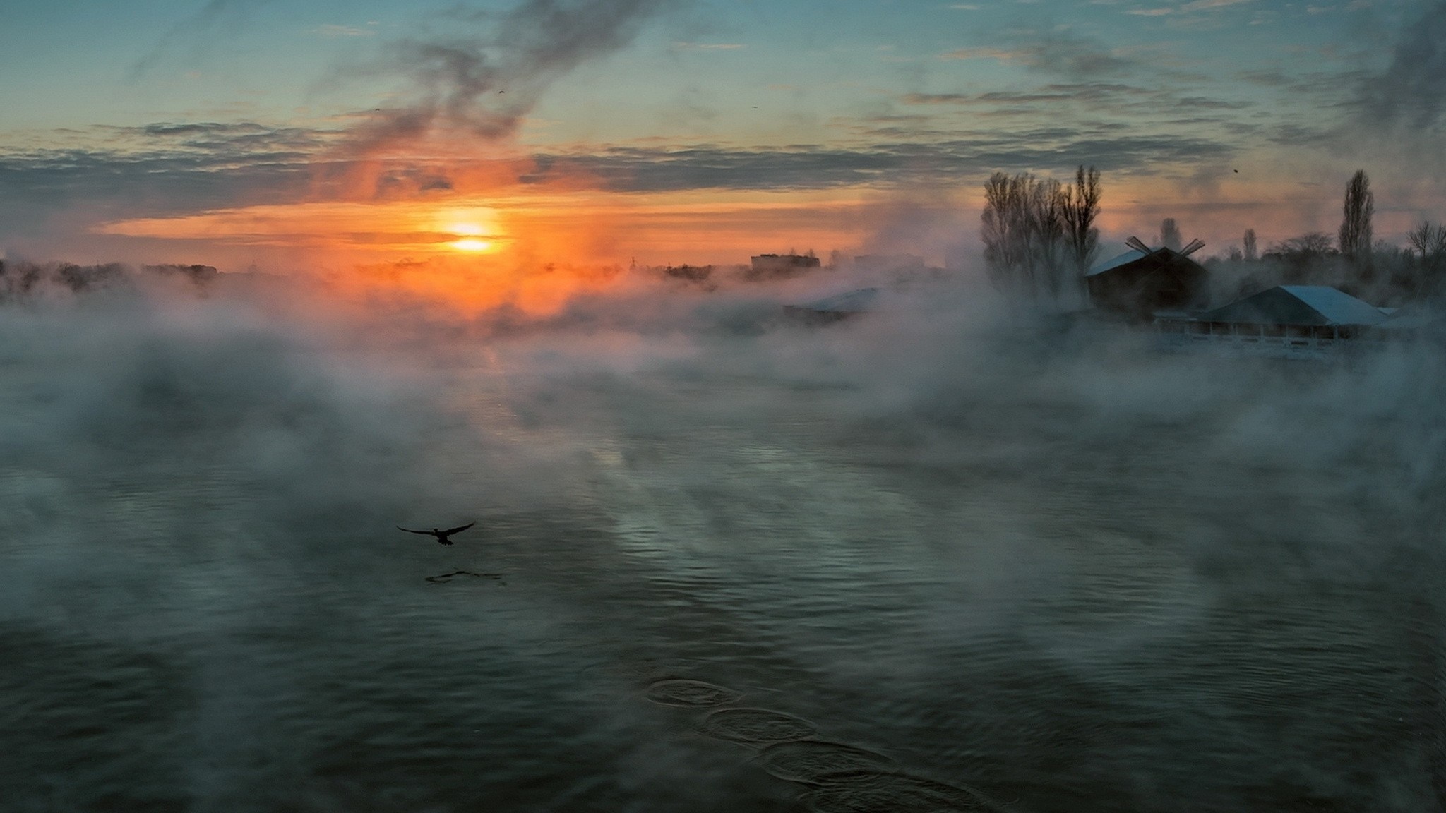 Misty sunrise over water with a bird flying HD Wallpaper