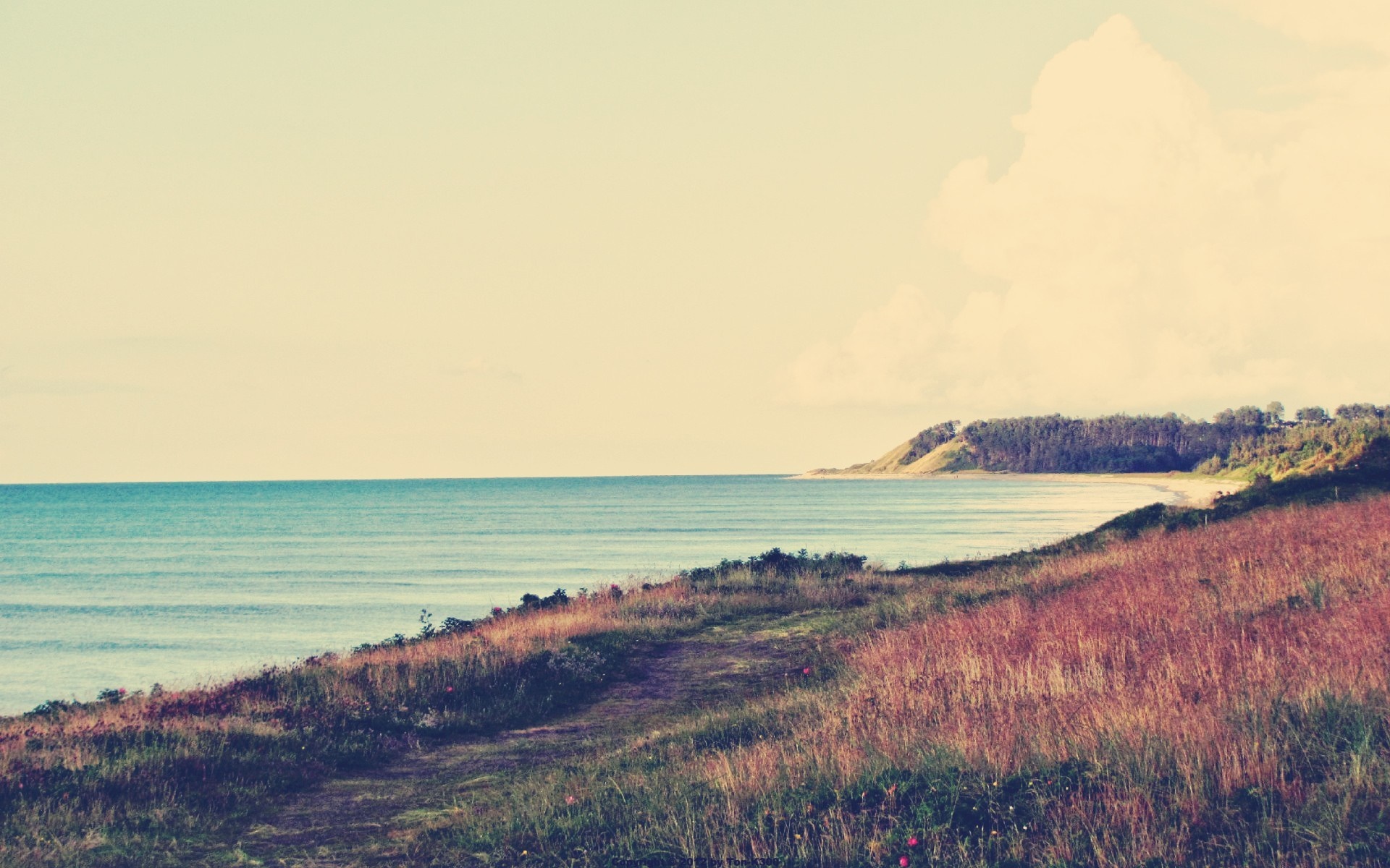 Coastal landscape with ocean and grassy hill HD Wallpaper