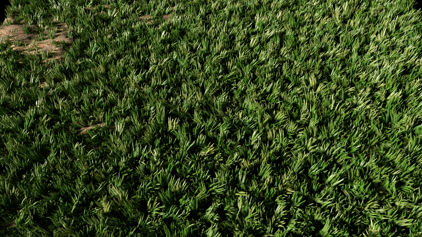 Close-up of green grass and soil HD Wallpaper