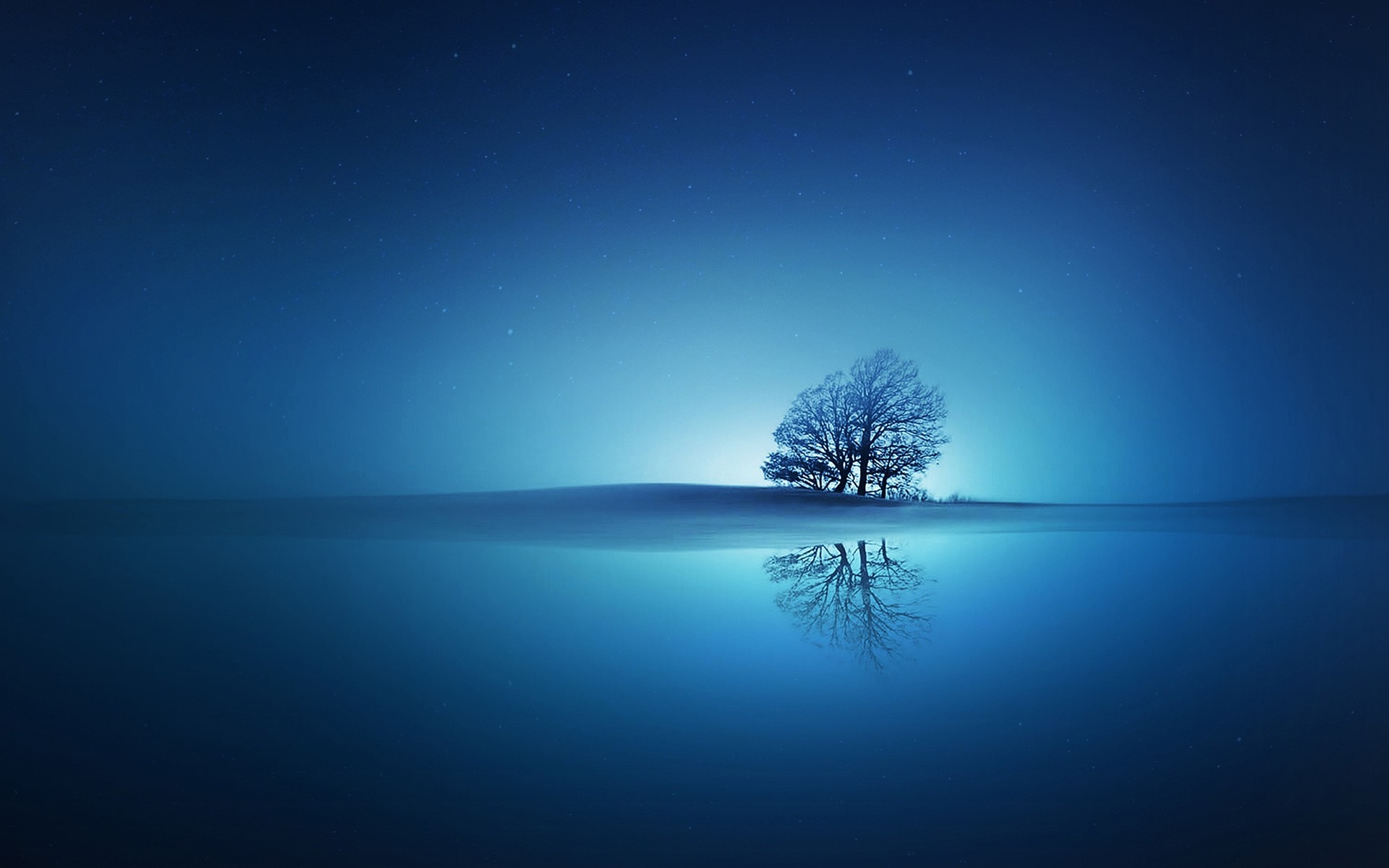 Bare tree reflecting in water under starry night sky HD Wallpaper