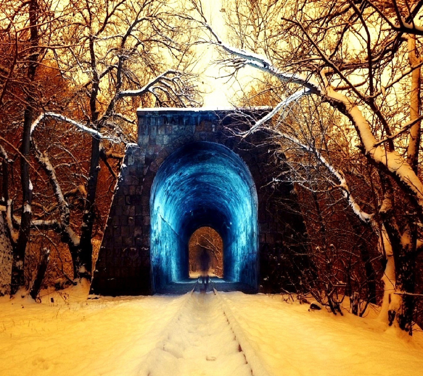 Snowy tunnel with trees and a figure HD Wallpaper