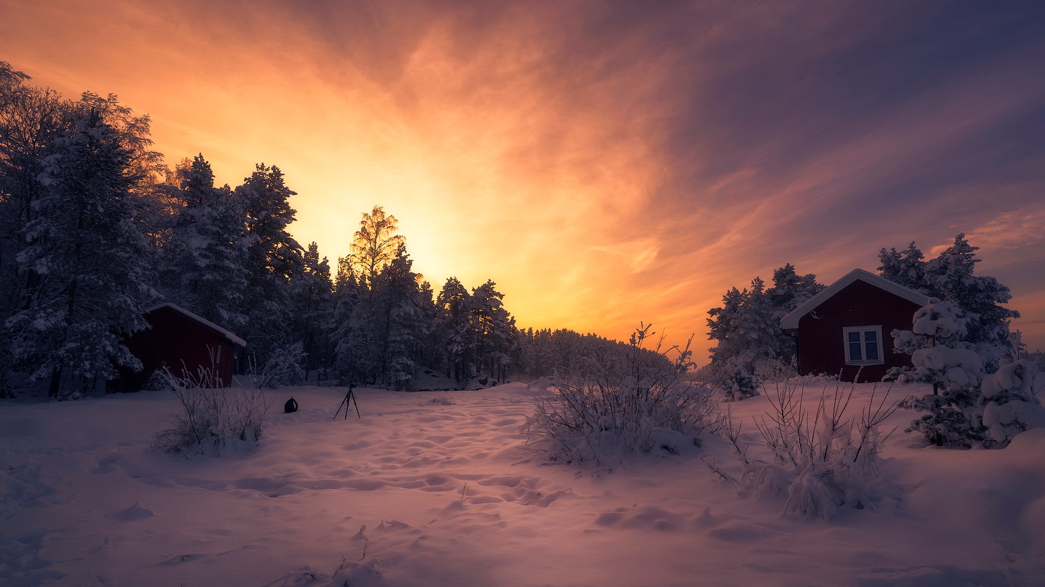 Snowy landscape with red cabins at sunset HD Wallpaper