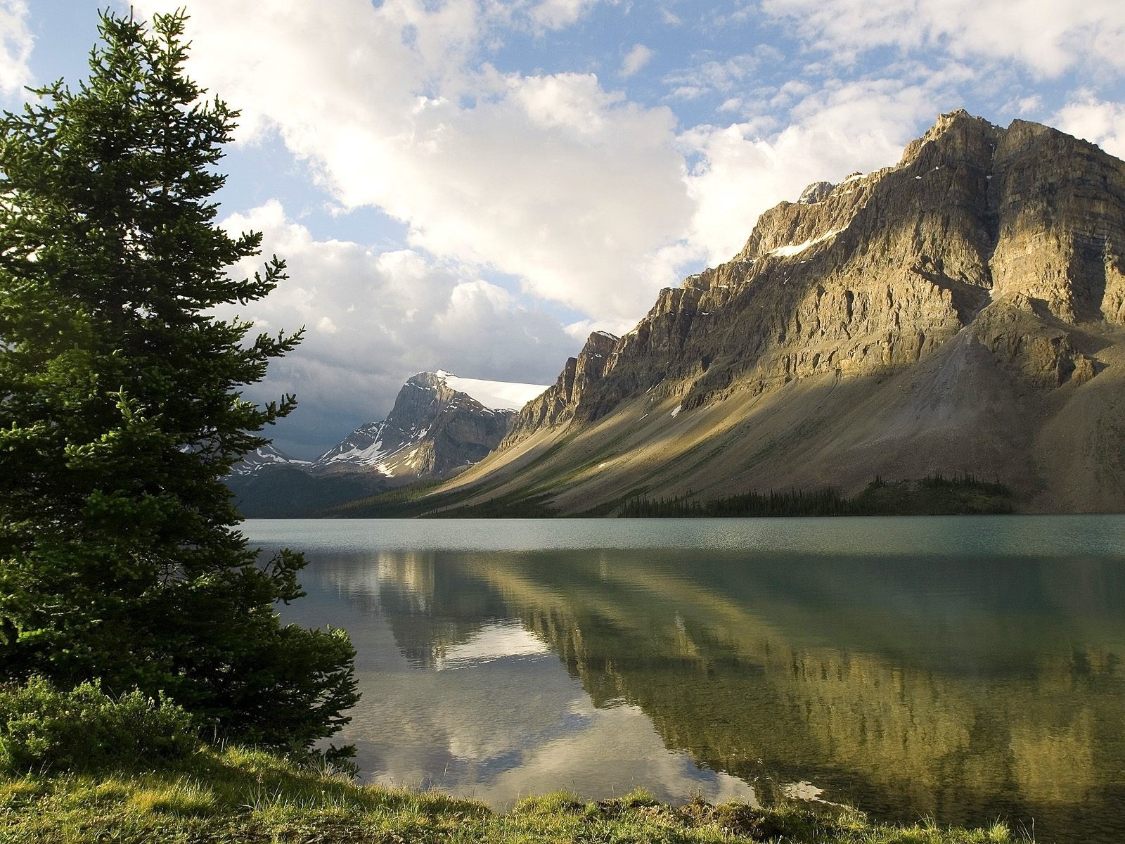 Lake and mountains with a pine tree in the foreground HD Wallpaper