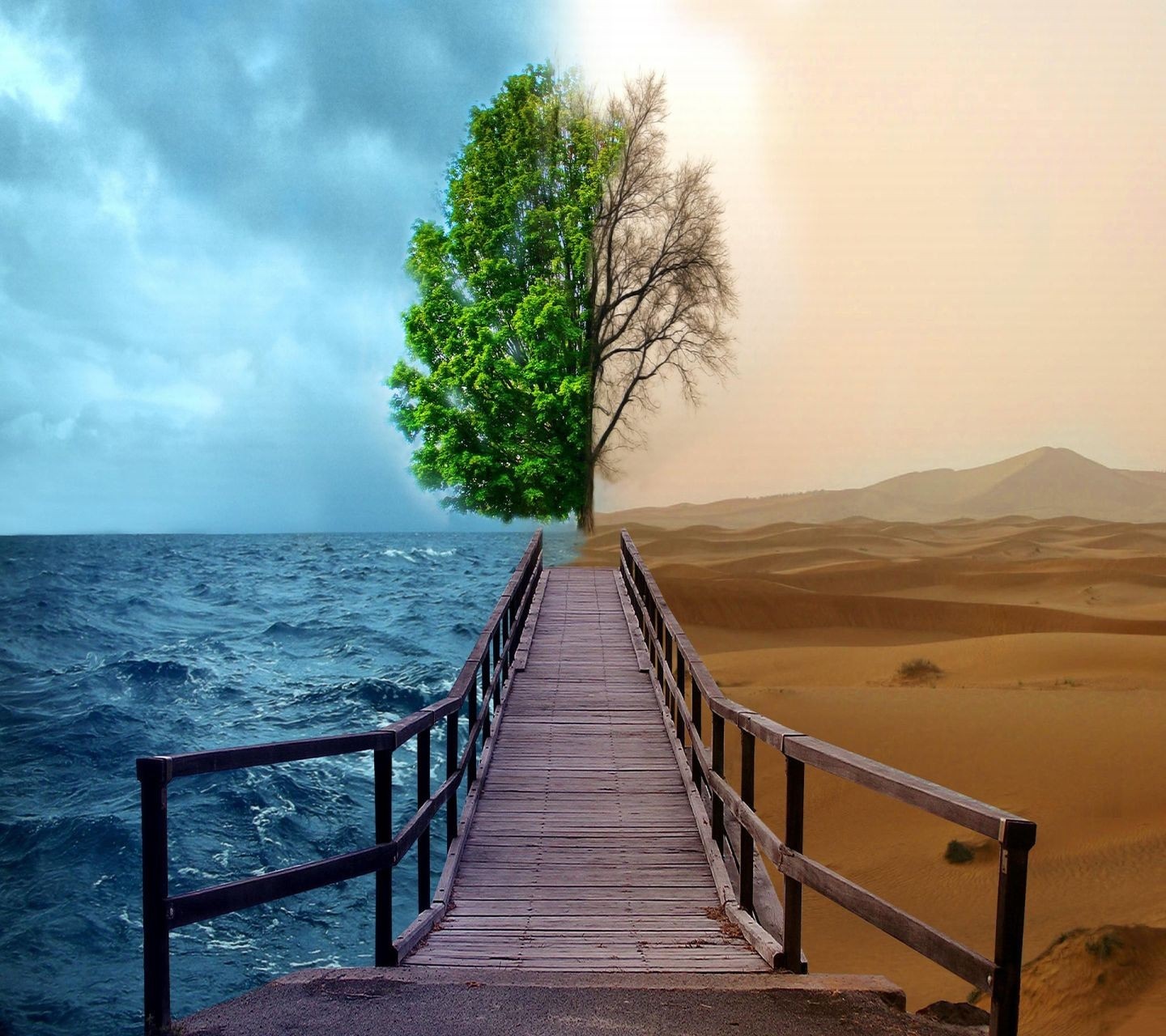 A bridge connects a lush ocean to a barren desert HD Wallpaper