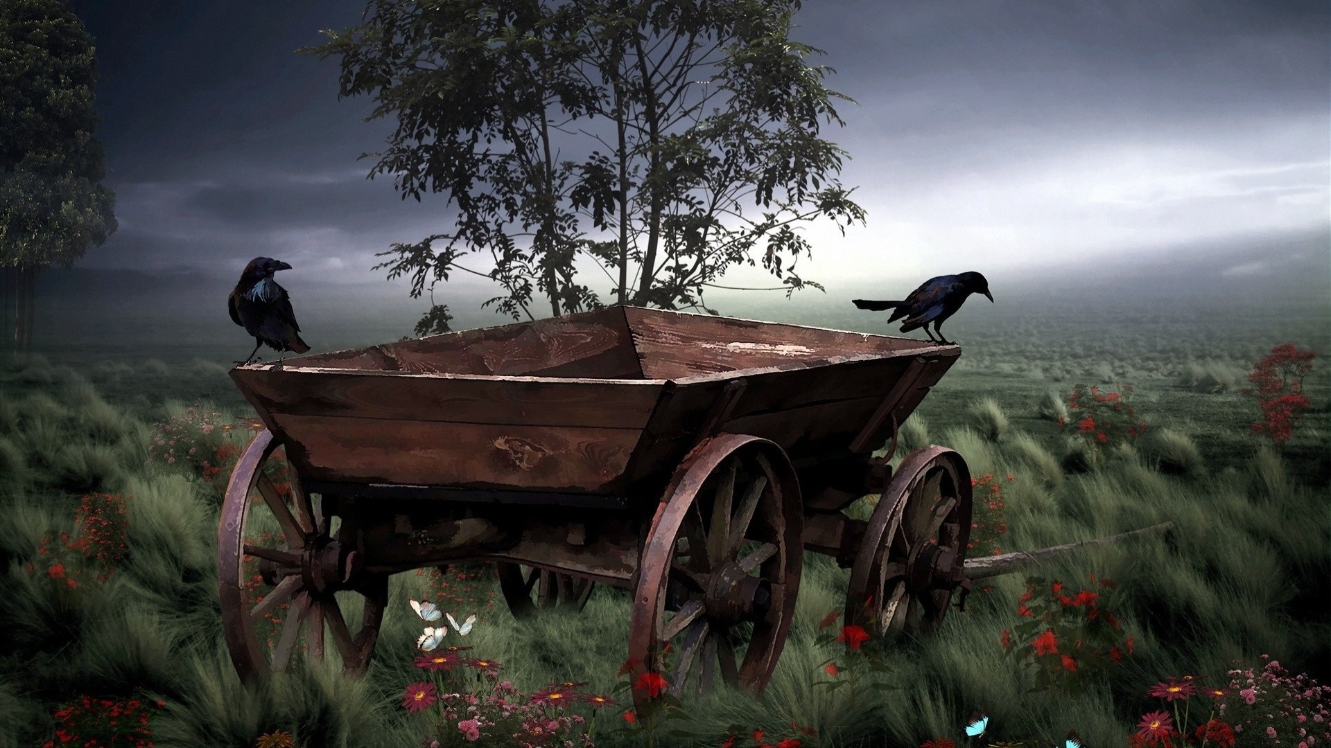 Two ravens on a wooden cart in a grassy field HD Wallpaper