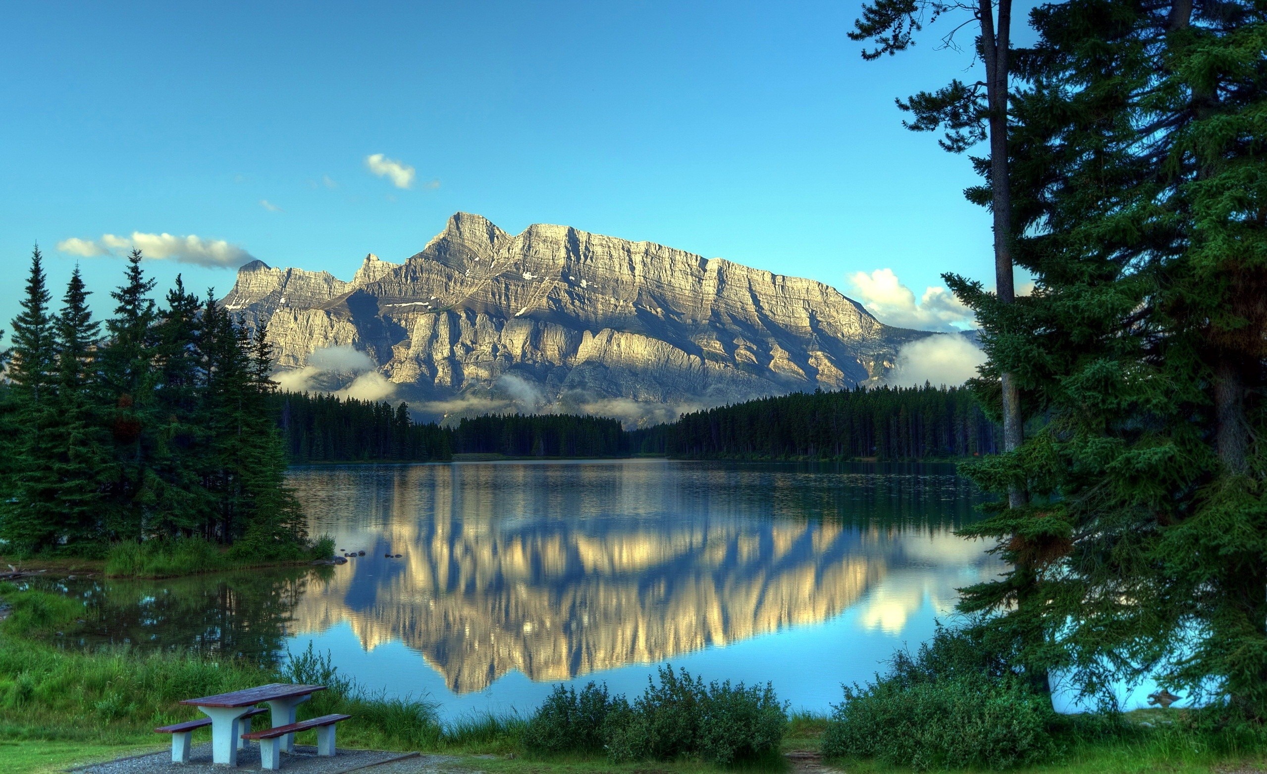 Mountain reflected in a lake with trees and picnic table HD Wallpaper