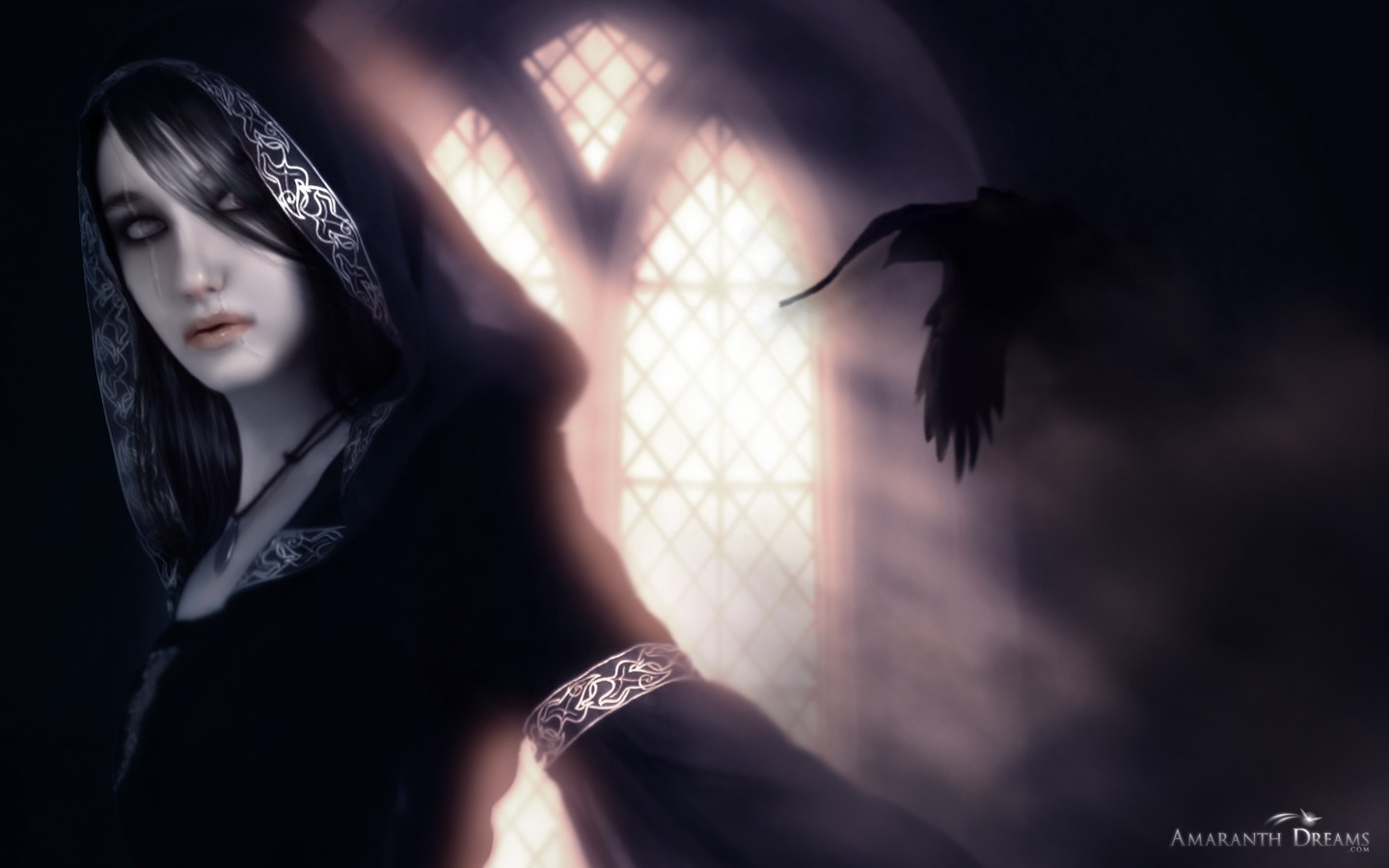 A woman in a black hood with a crow flying by a window HD Wallpaper